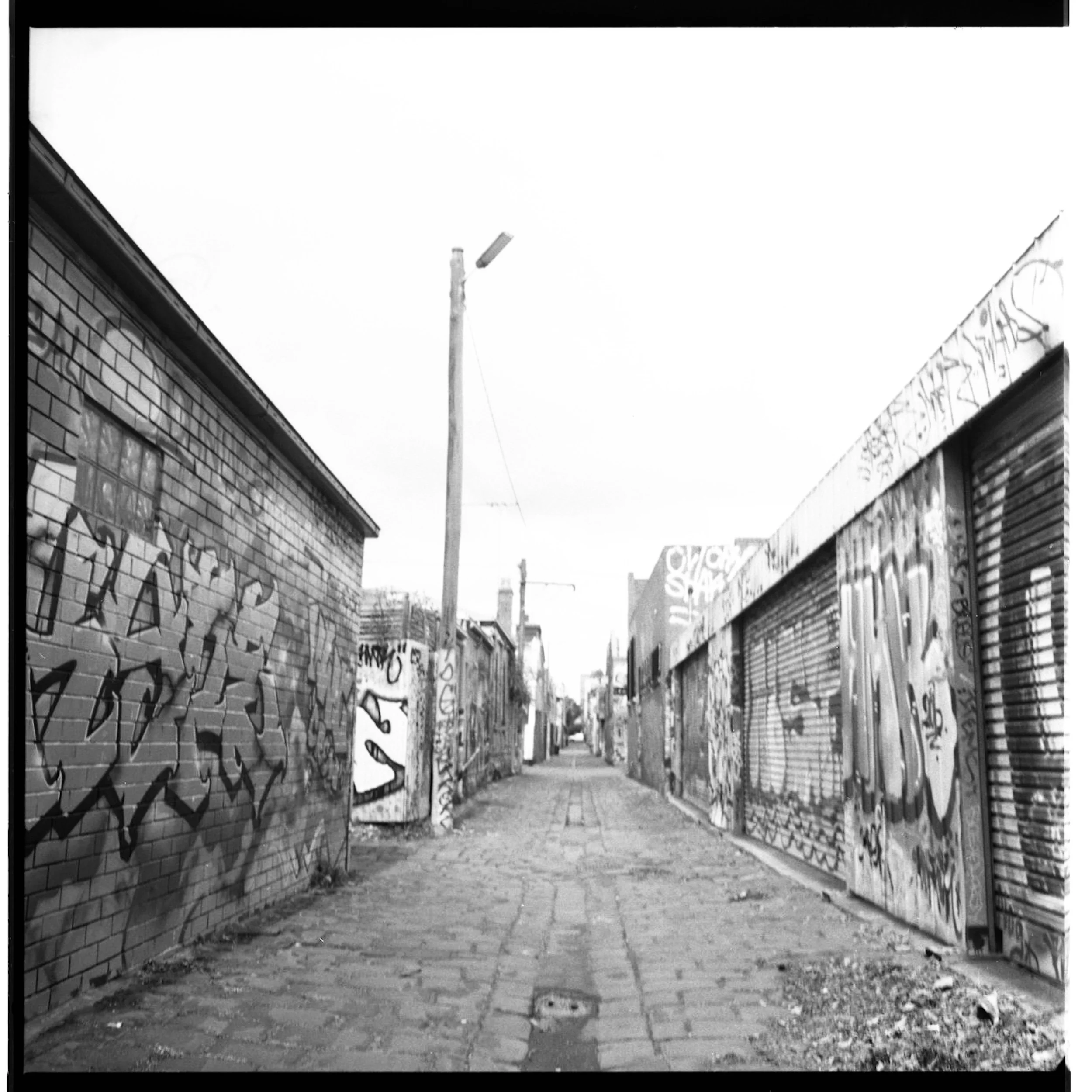 250919 MF Fitz-Yarra Trail 003