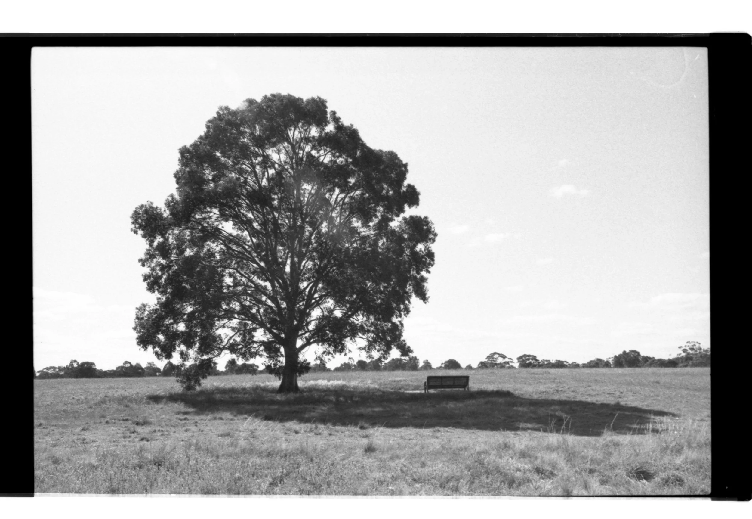 Scan 0256 F6.jpg