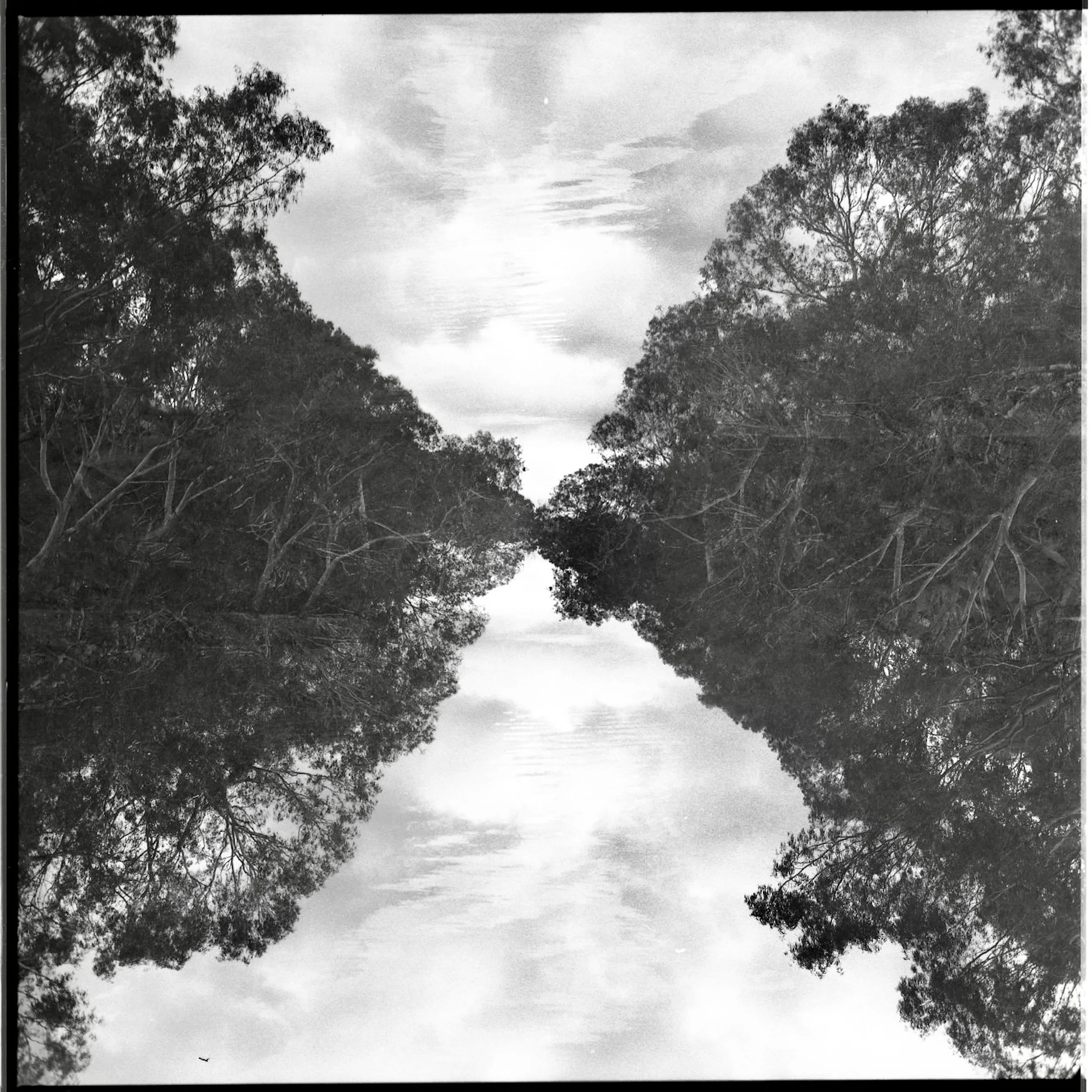 250919 MF Yarra Trail 003