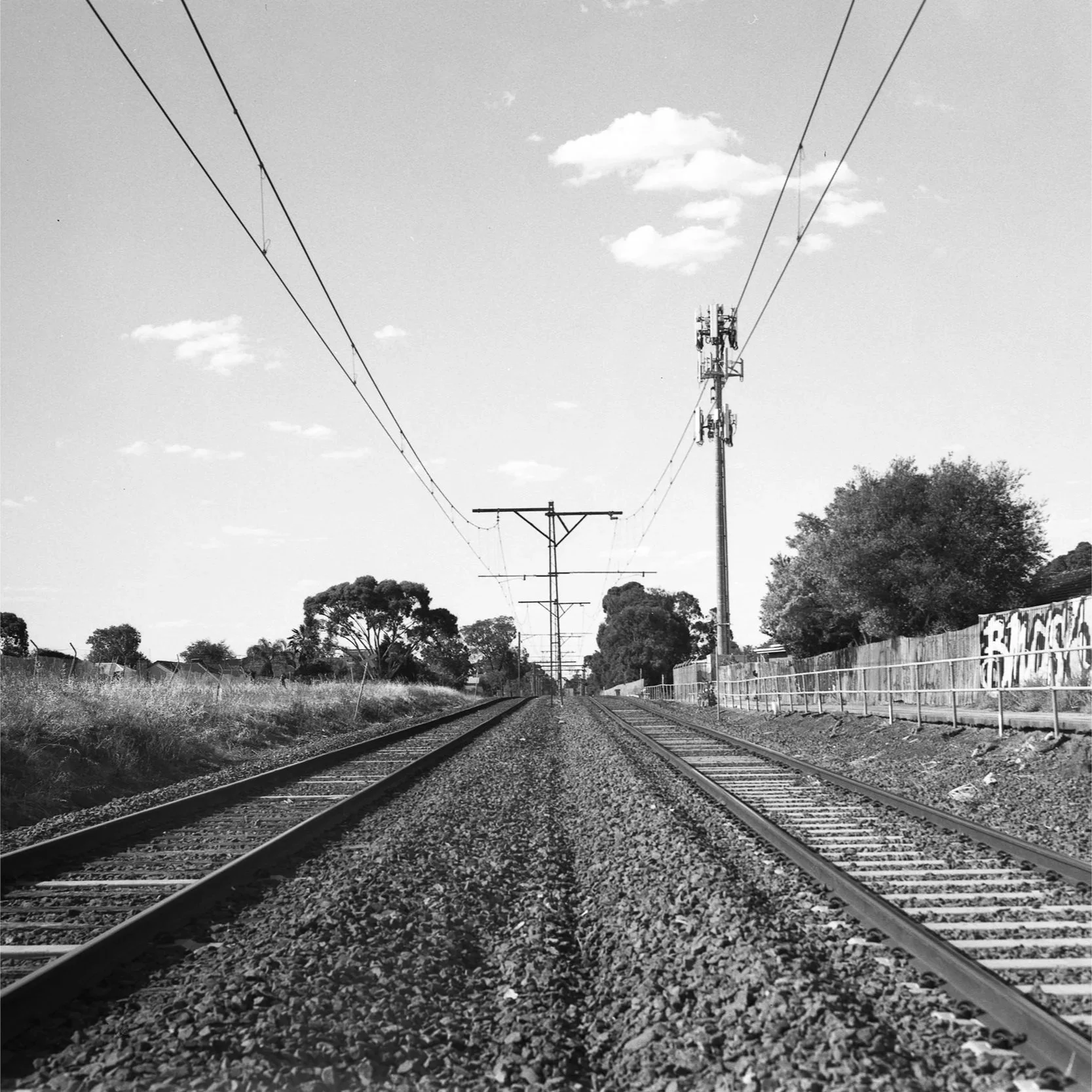 Coburg North (4x5" LF)