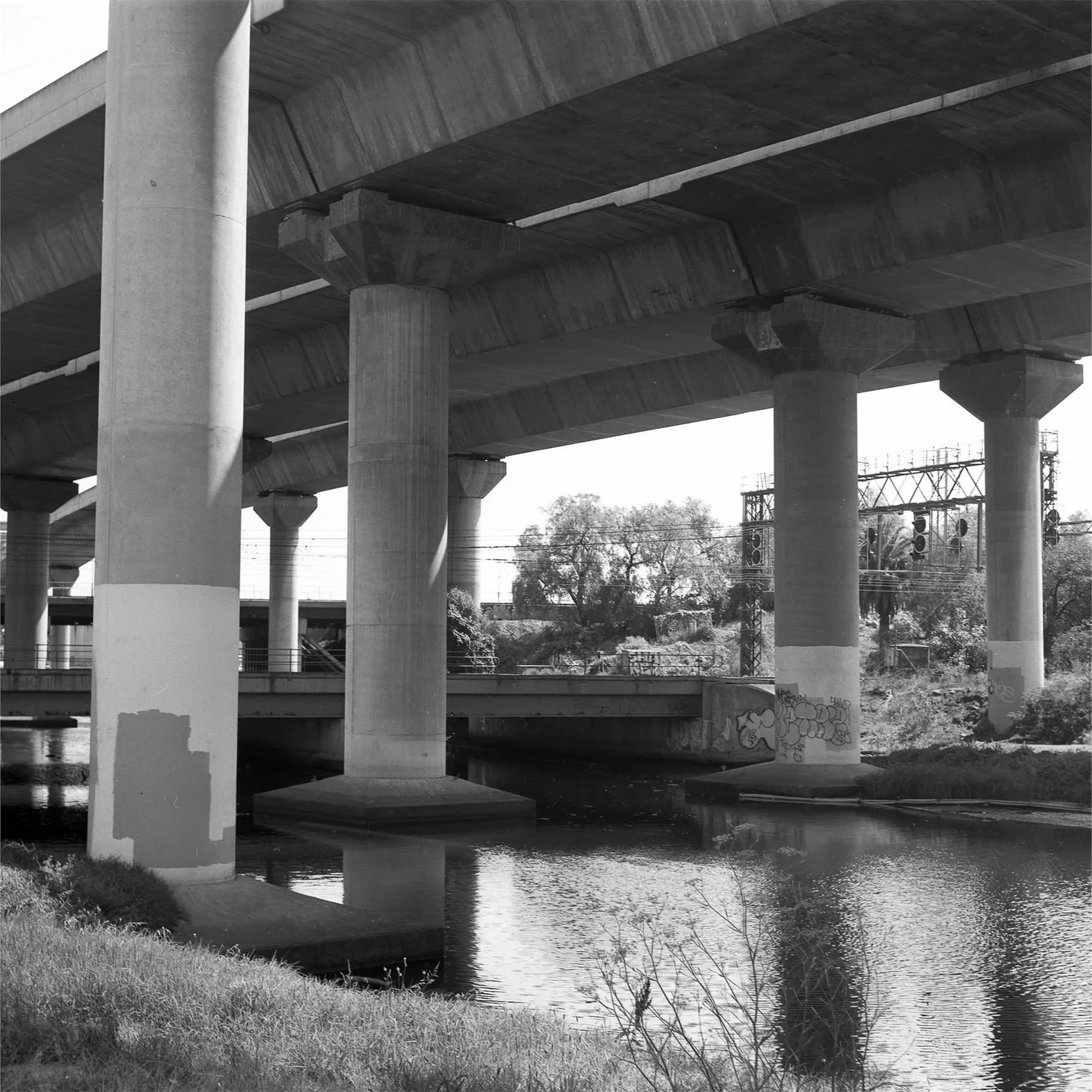 North Melbourne (4x5" LF)