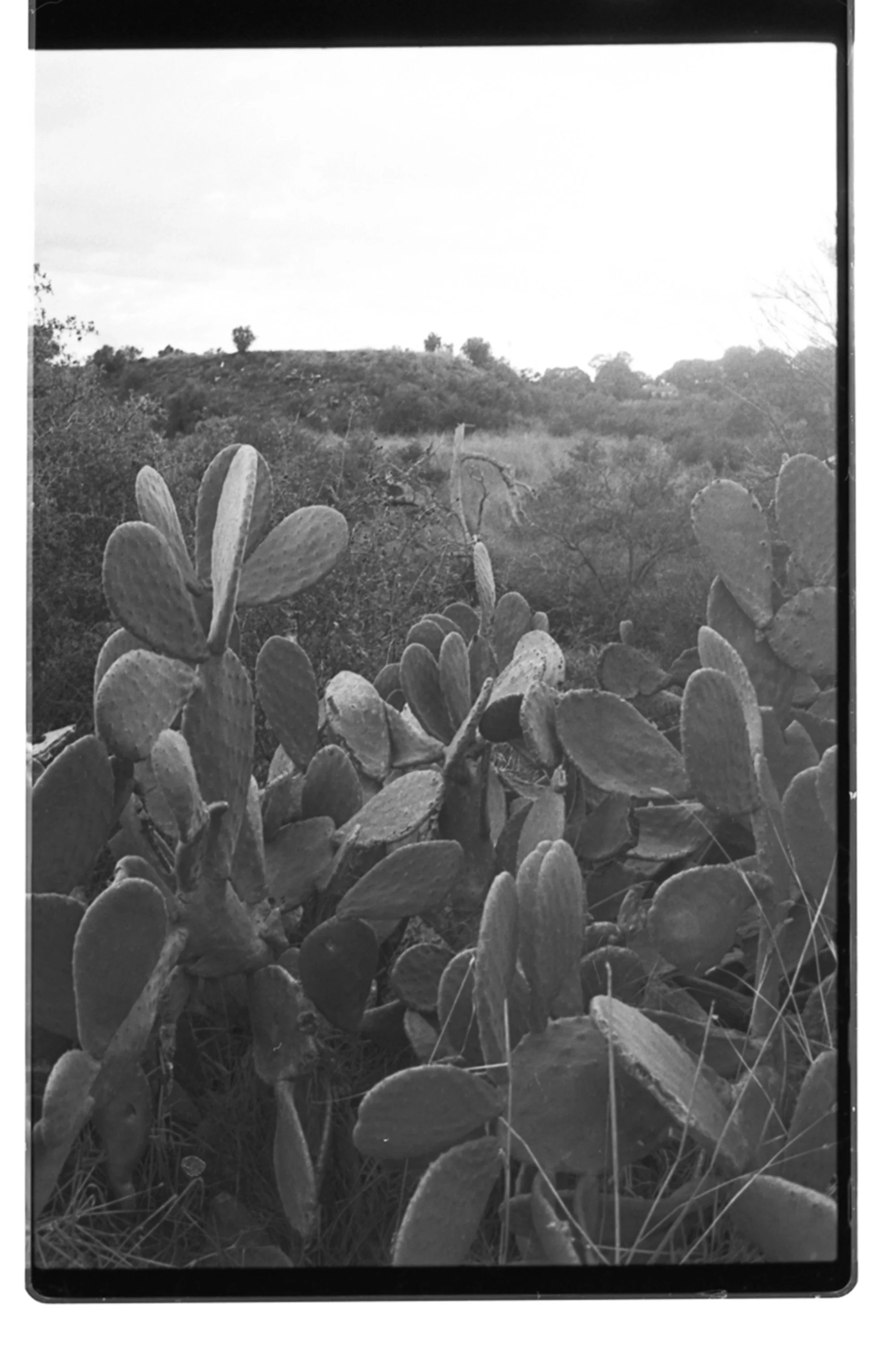 Scan 0695 F06.jpg