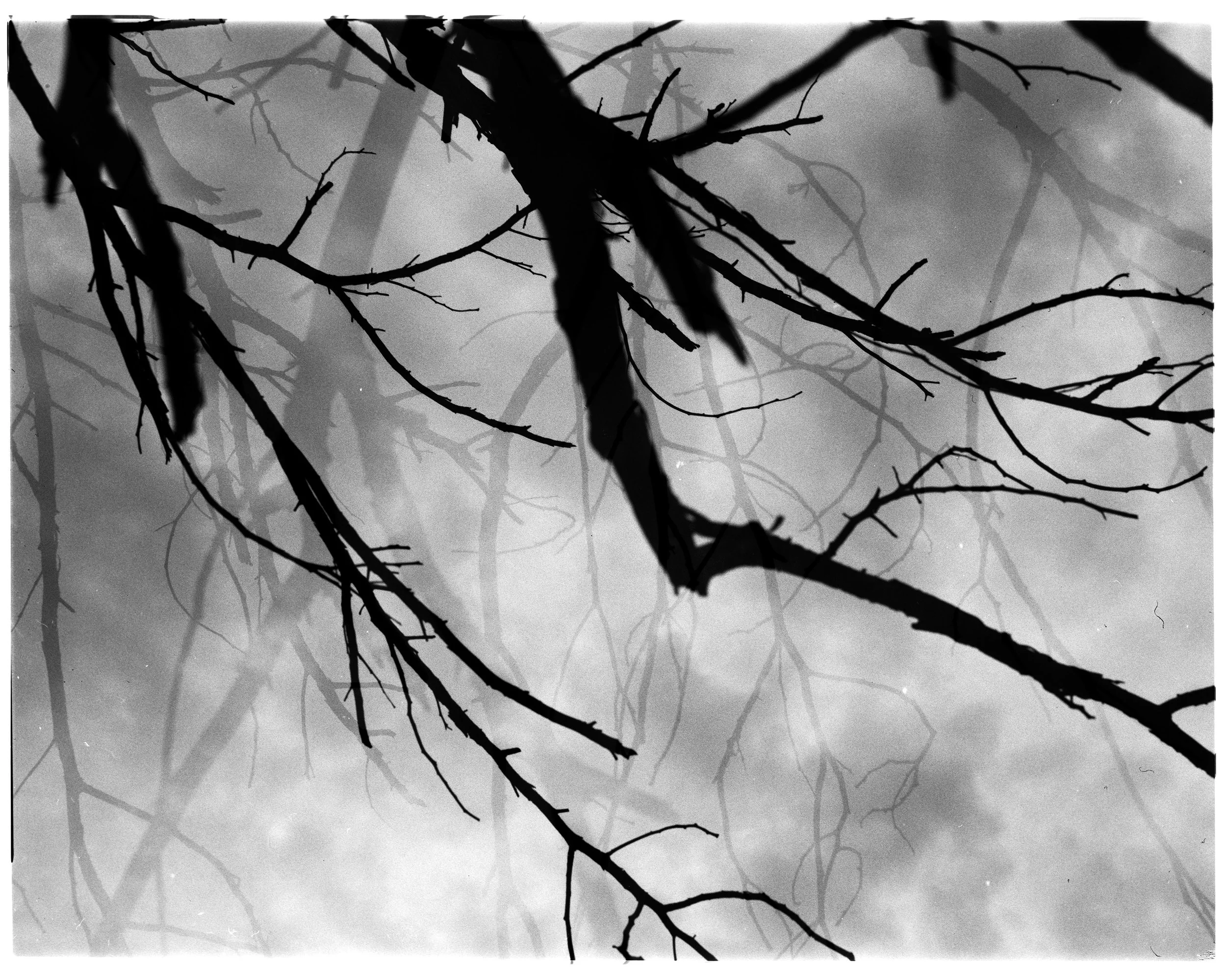 YES Scan 0268.jpg