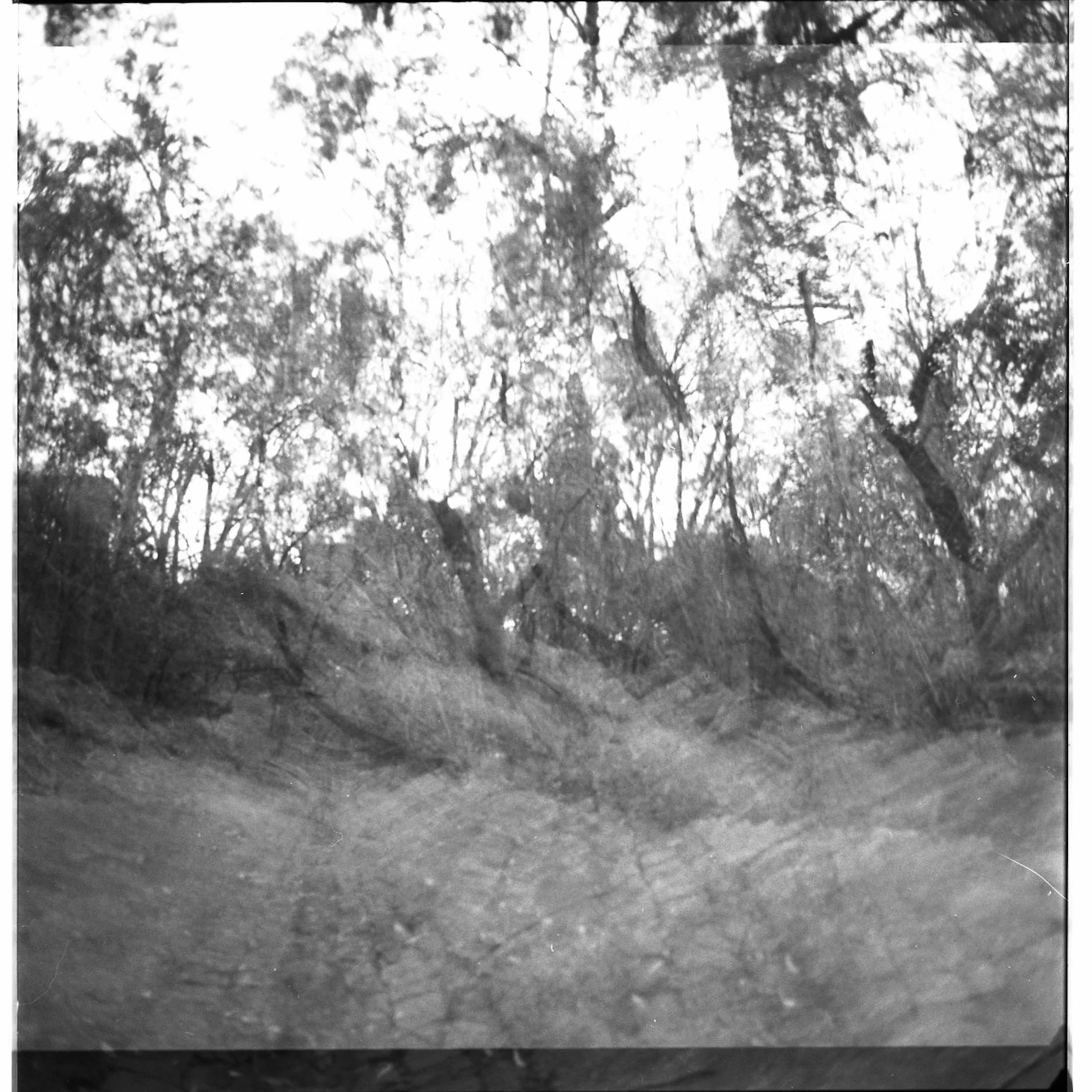 250919 MF Yarra Trail 001 F01