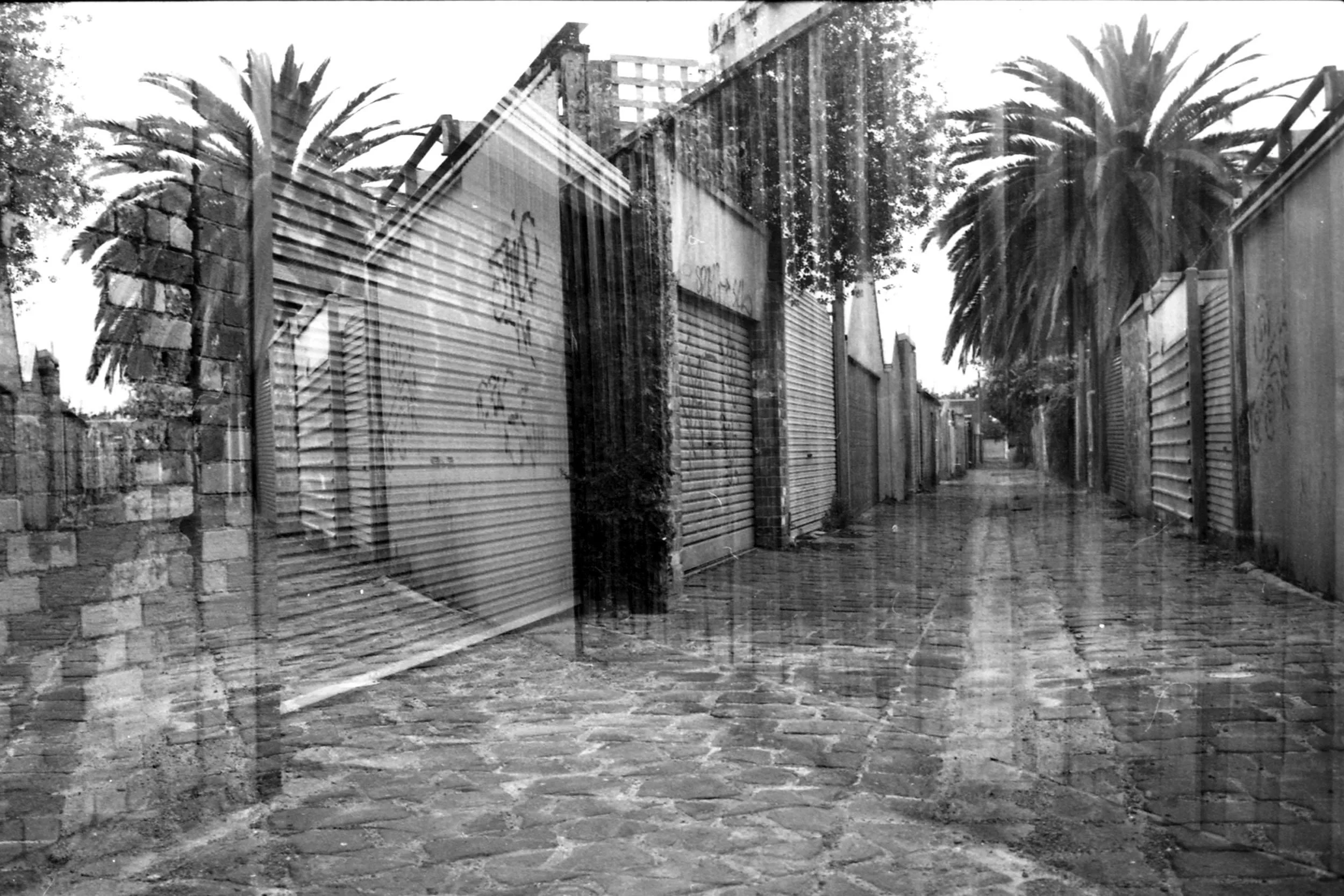 Untitled (North Fitzoy), 2026 (35mm)