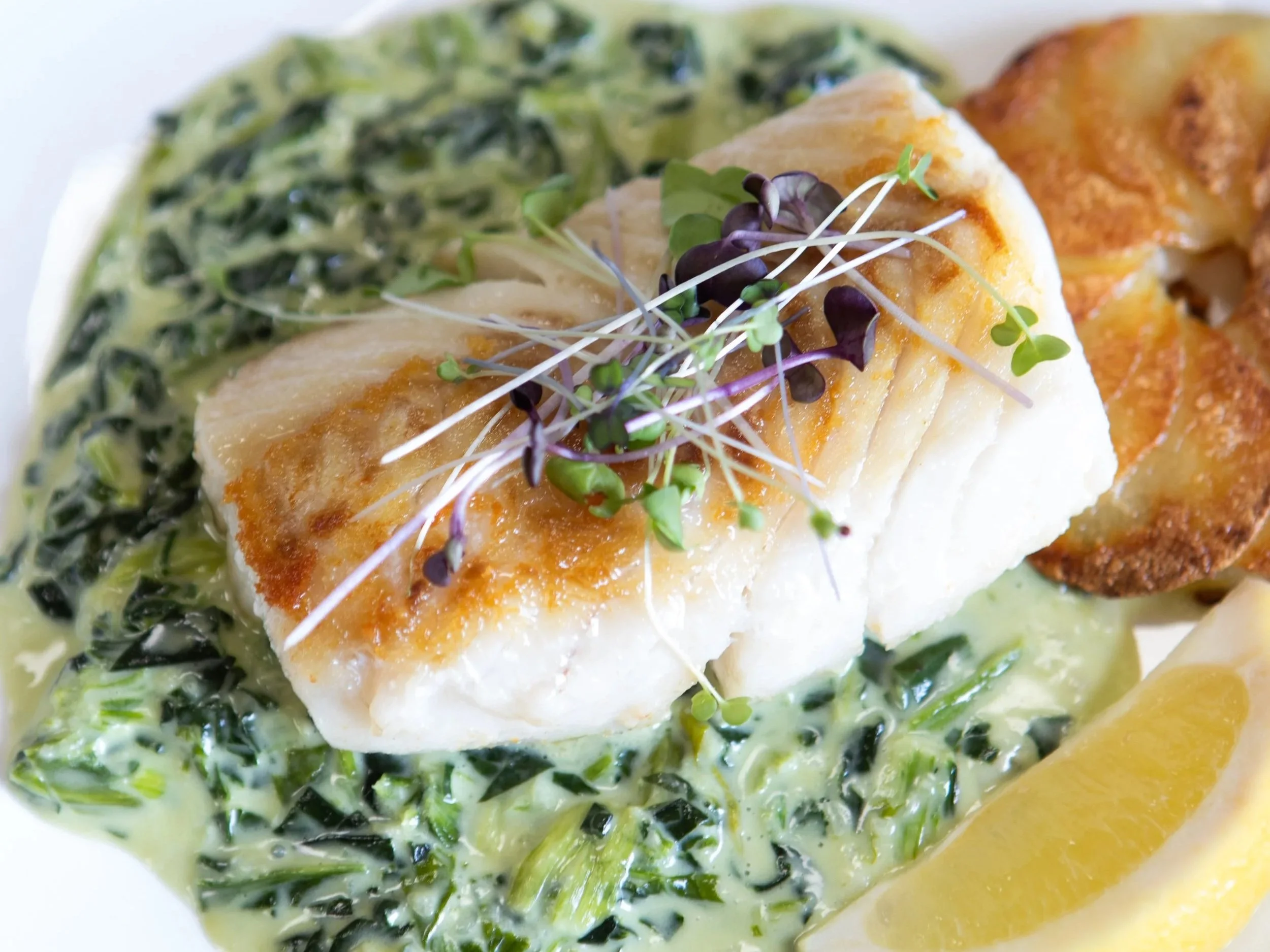 The Discipline of Simplicity: Fish Florentine at Rang’s Cocina Moderne