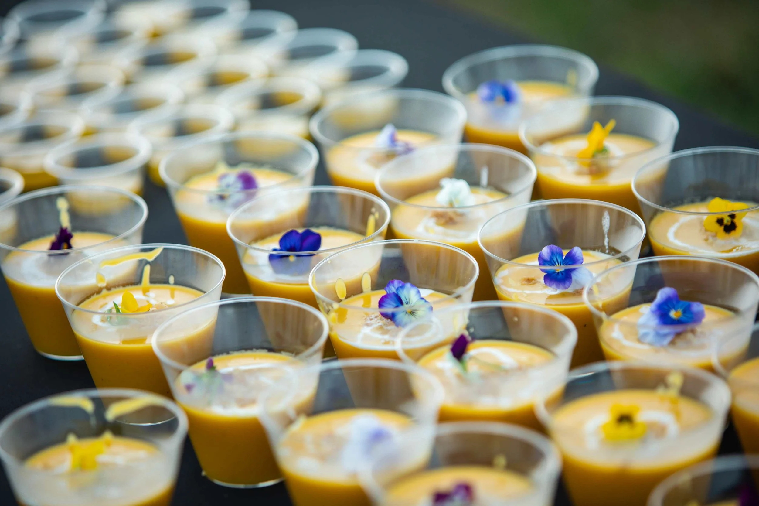 processed_flora moon farm x kush-130.jpeg