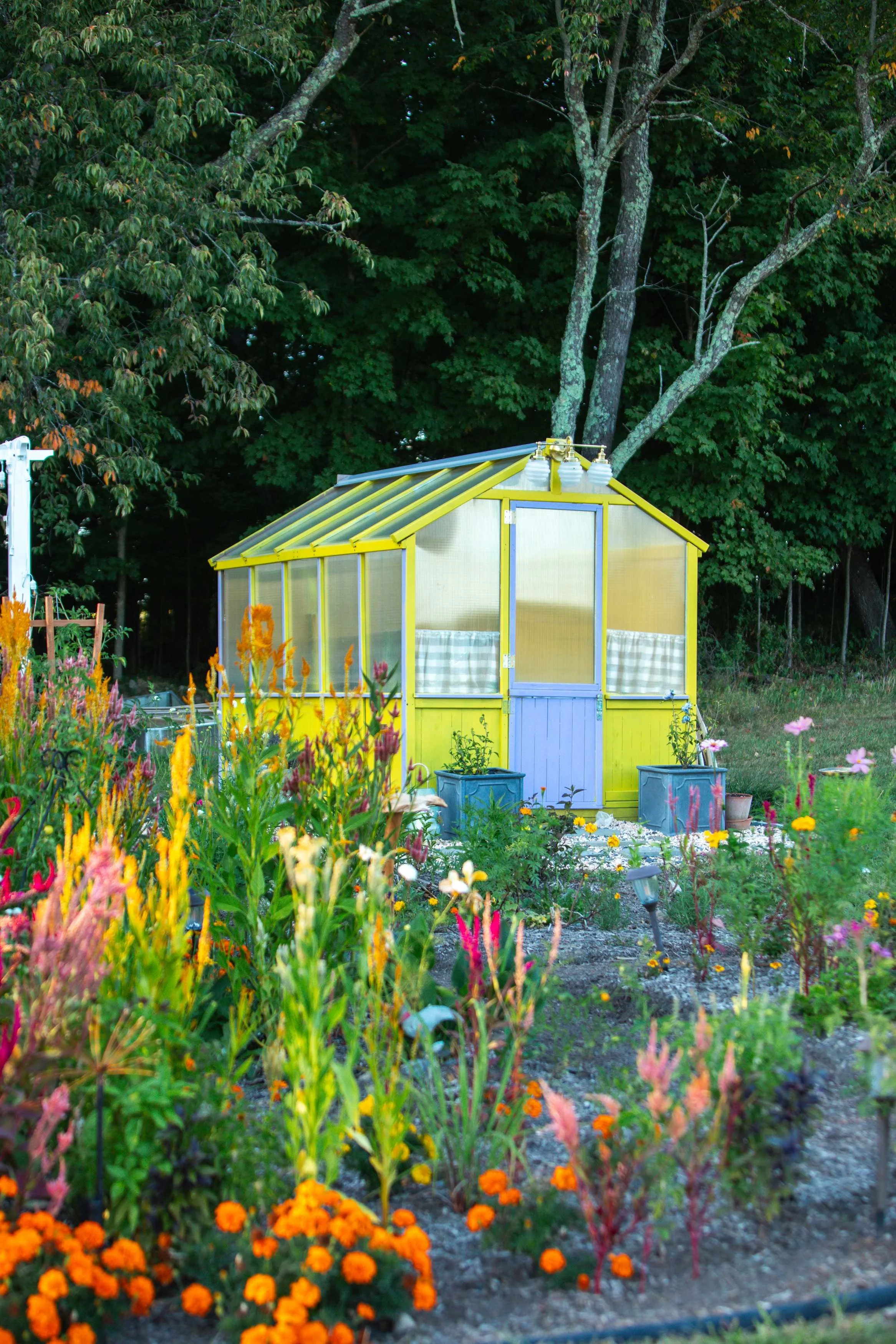 processed_flora moon farm x kush-052.jpeg