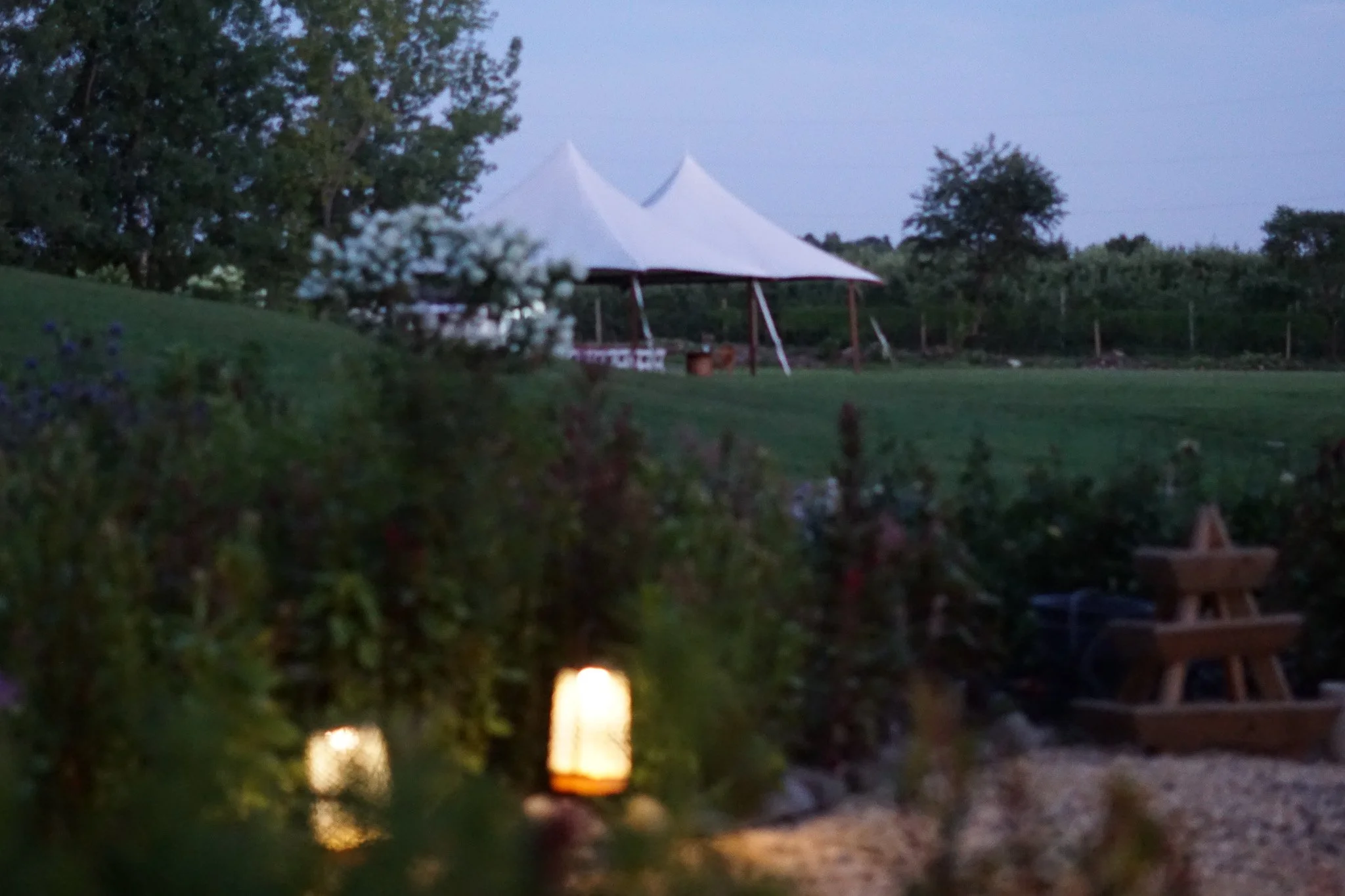 DSC02779.jpg