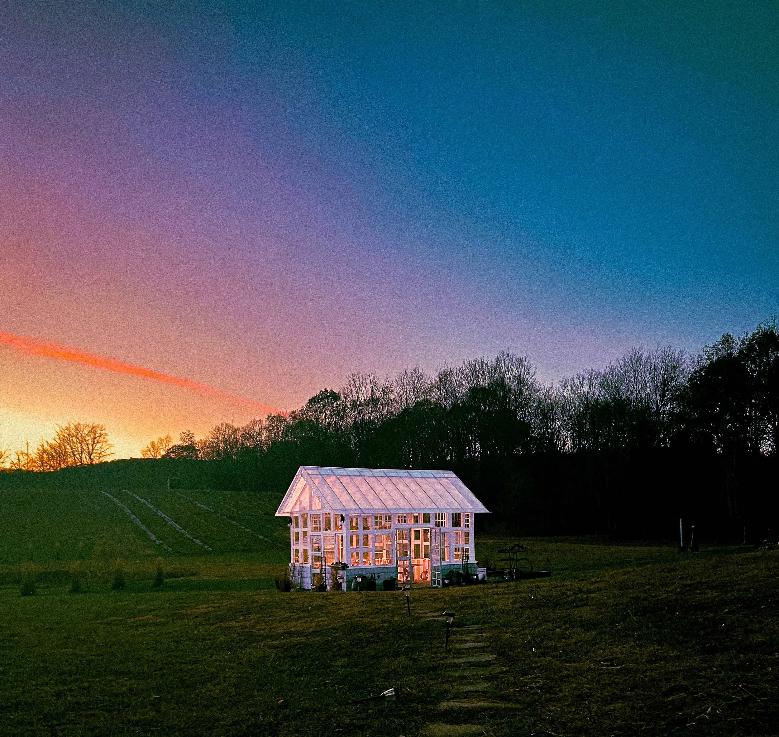 processed_Sunsetgreenhouse.jpeg