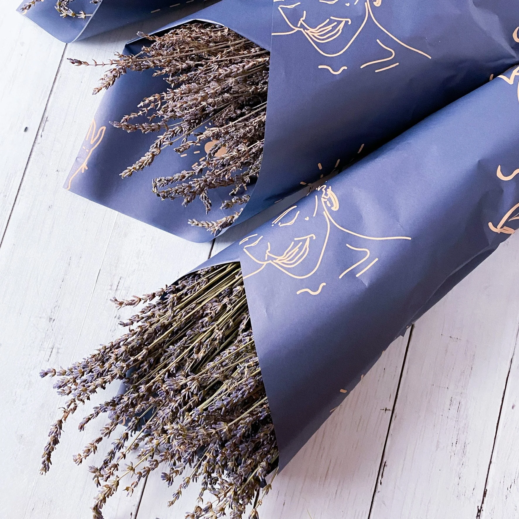 Lavender Phenomenal Bundle - Freshly Dried