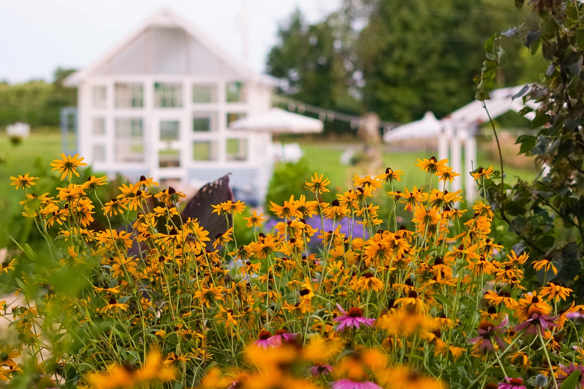Gardens