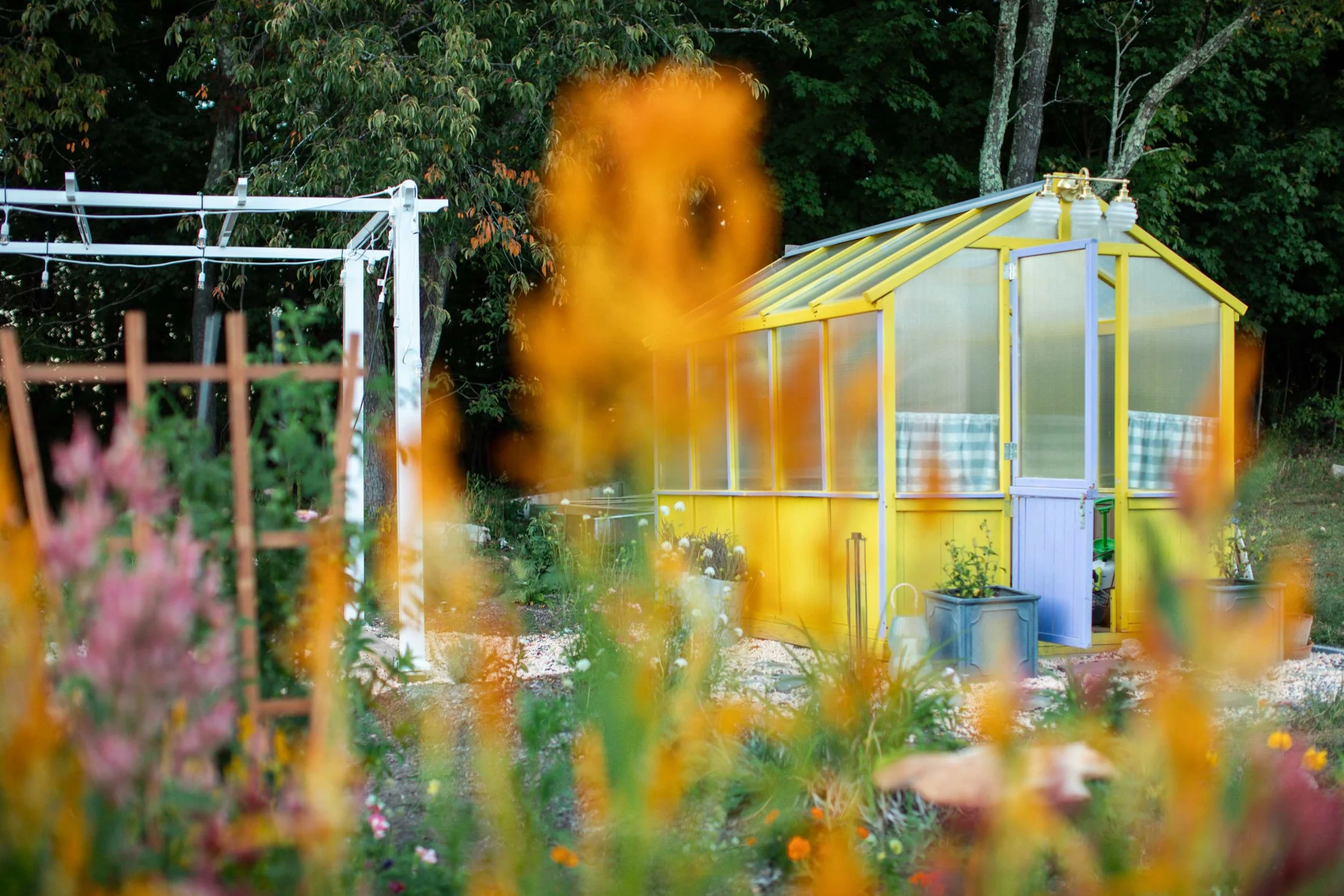 processed_flora moon farm x kush-145 (1).jpeg