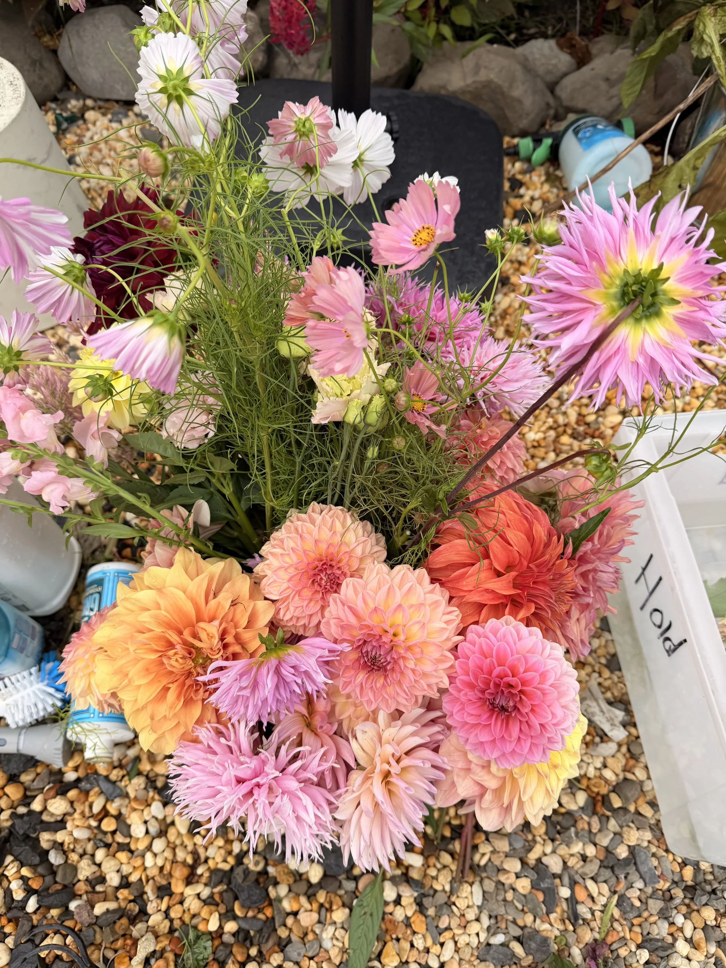 Flower Club Subscriptions for 2026