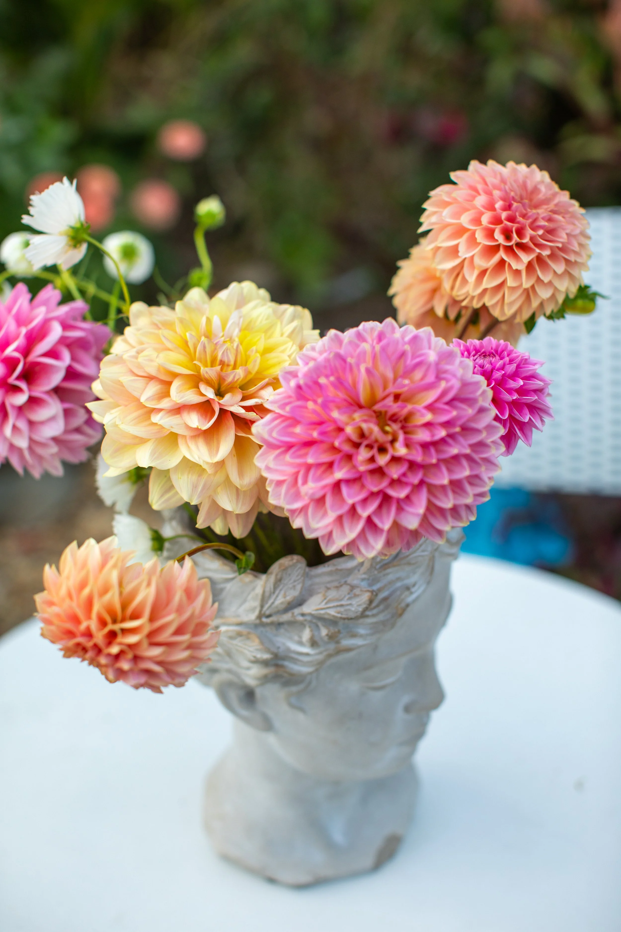 Flora Moon Farm 2026-144.jpg