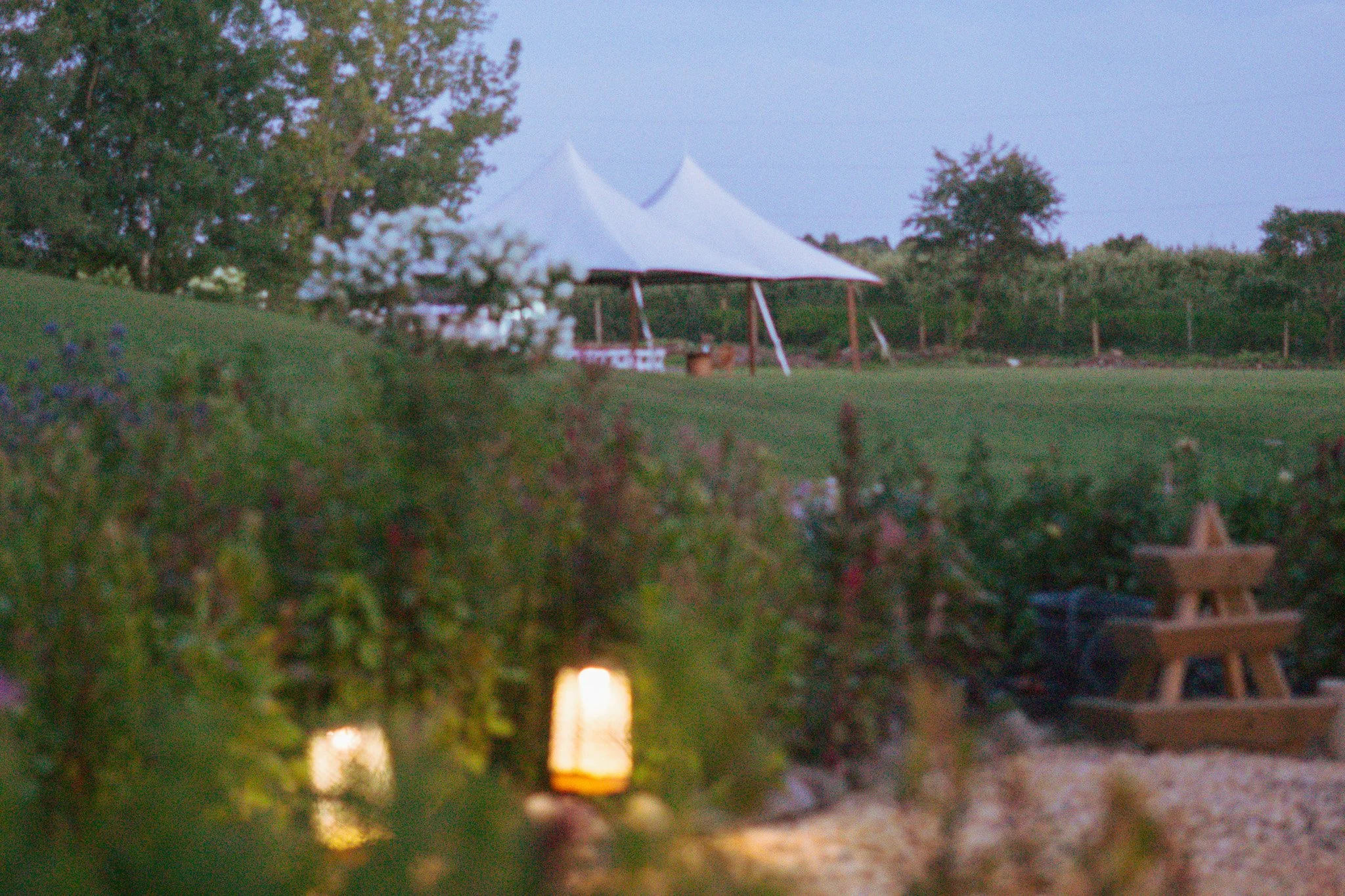 DSC02779-2.jpg