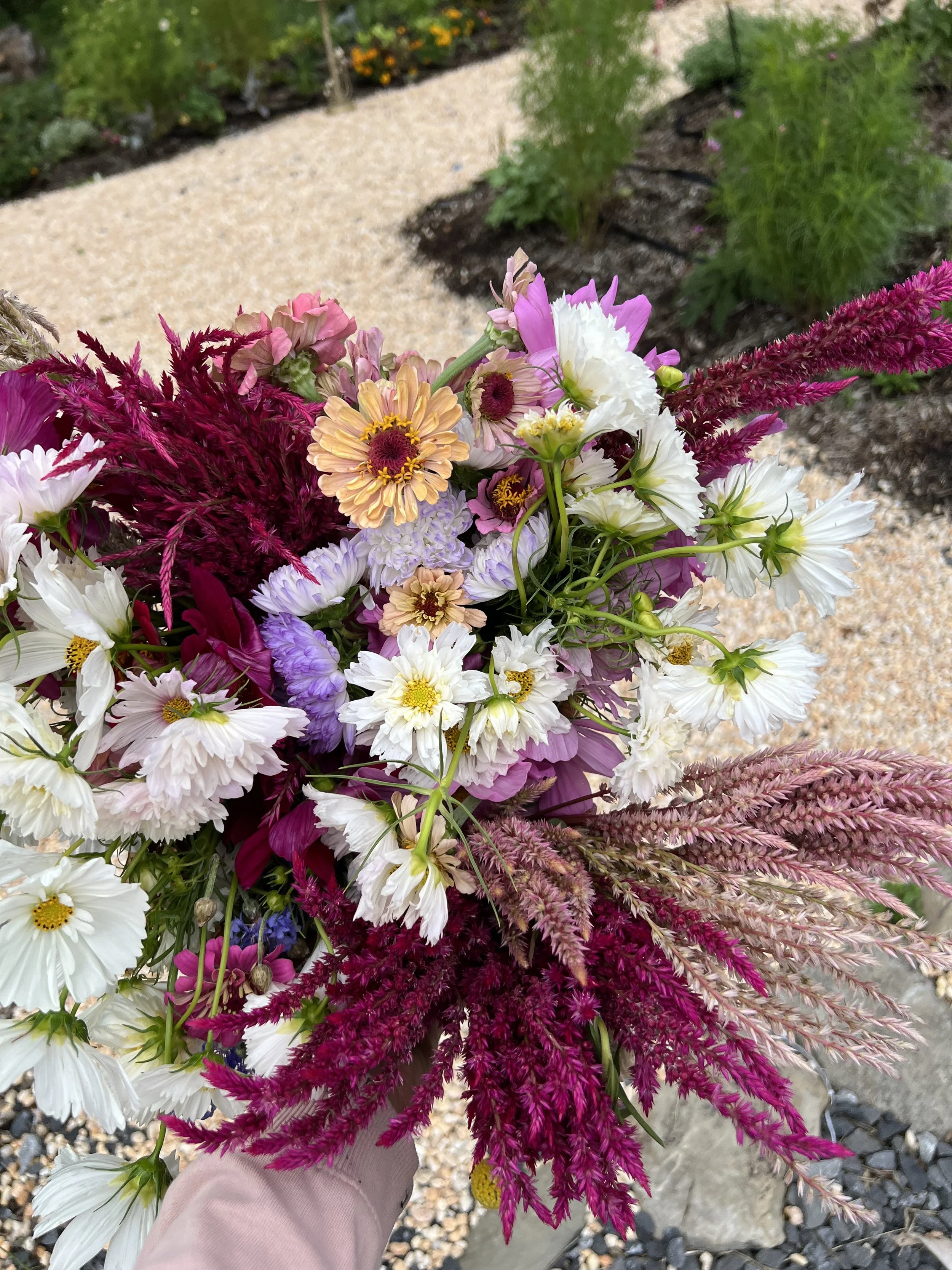Colorful bouquet of various flowers including white, pink, purple, and peach blossoms, held outdoors in a garden setting with gravel pathway and green plants in the background.