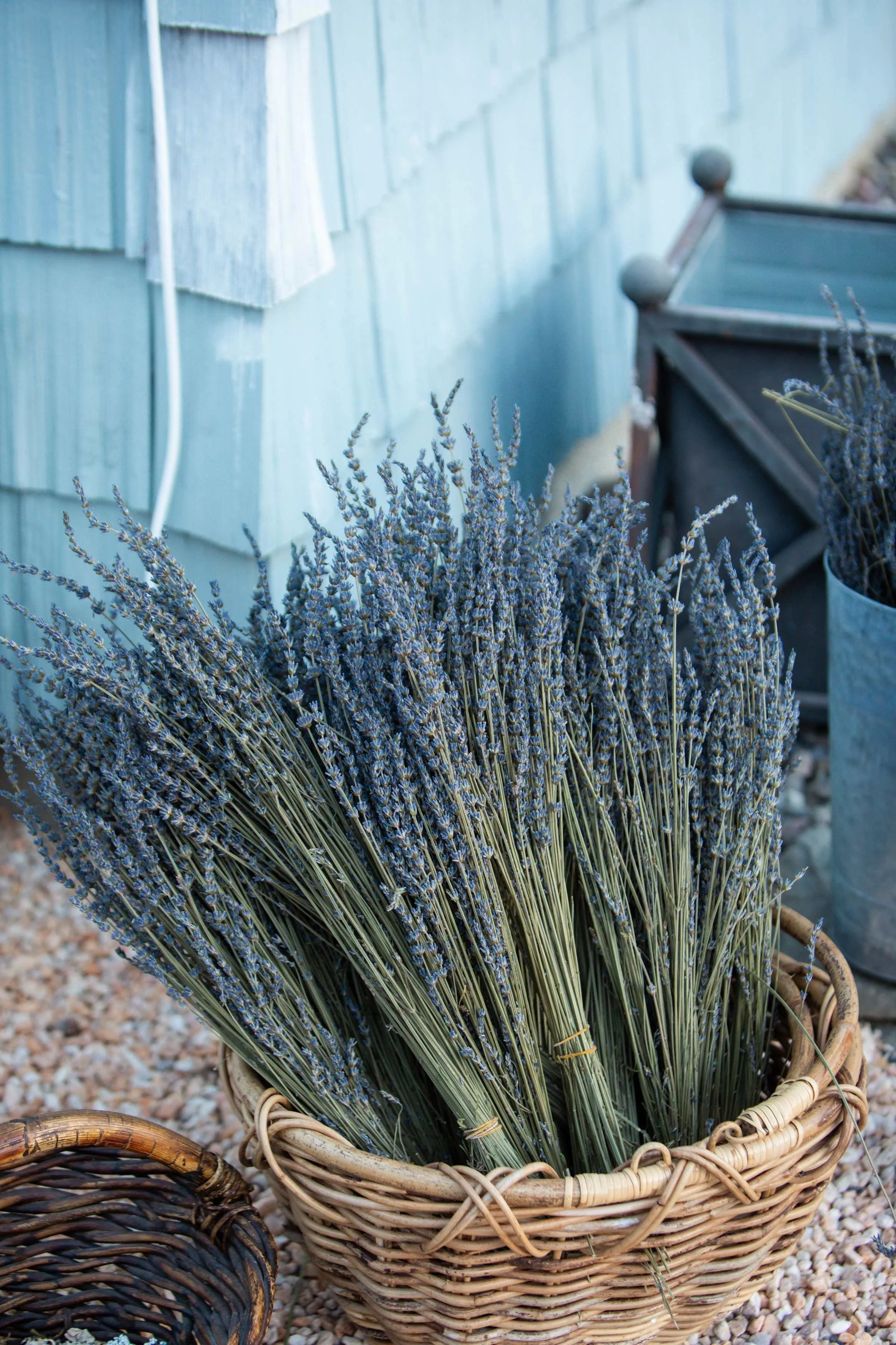 processed_flora moon farm x kush-106 (1).jpeg