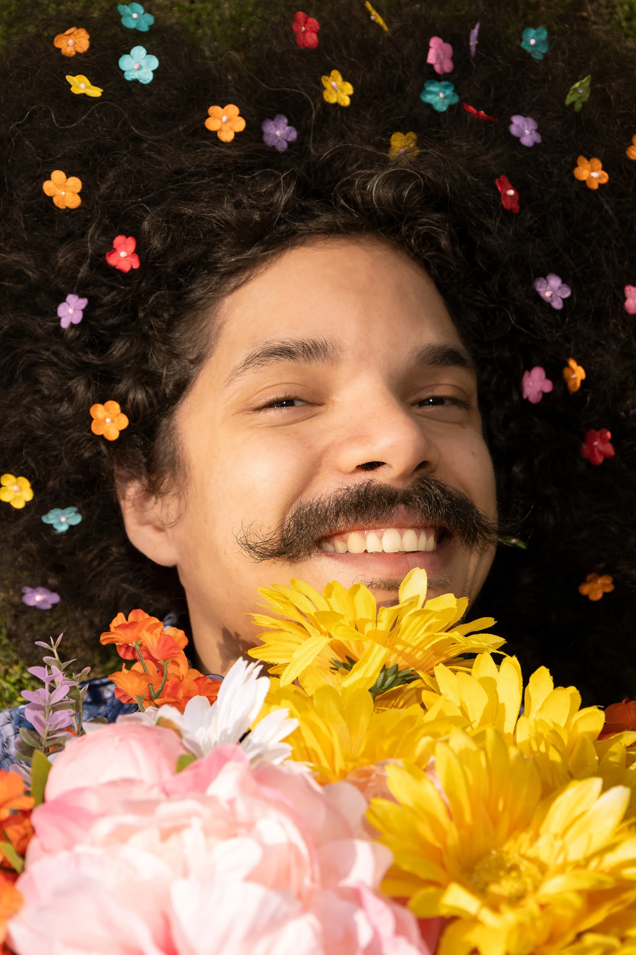 sunshine-1.jpg
