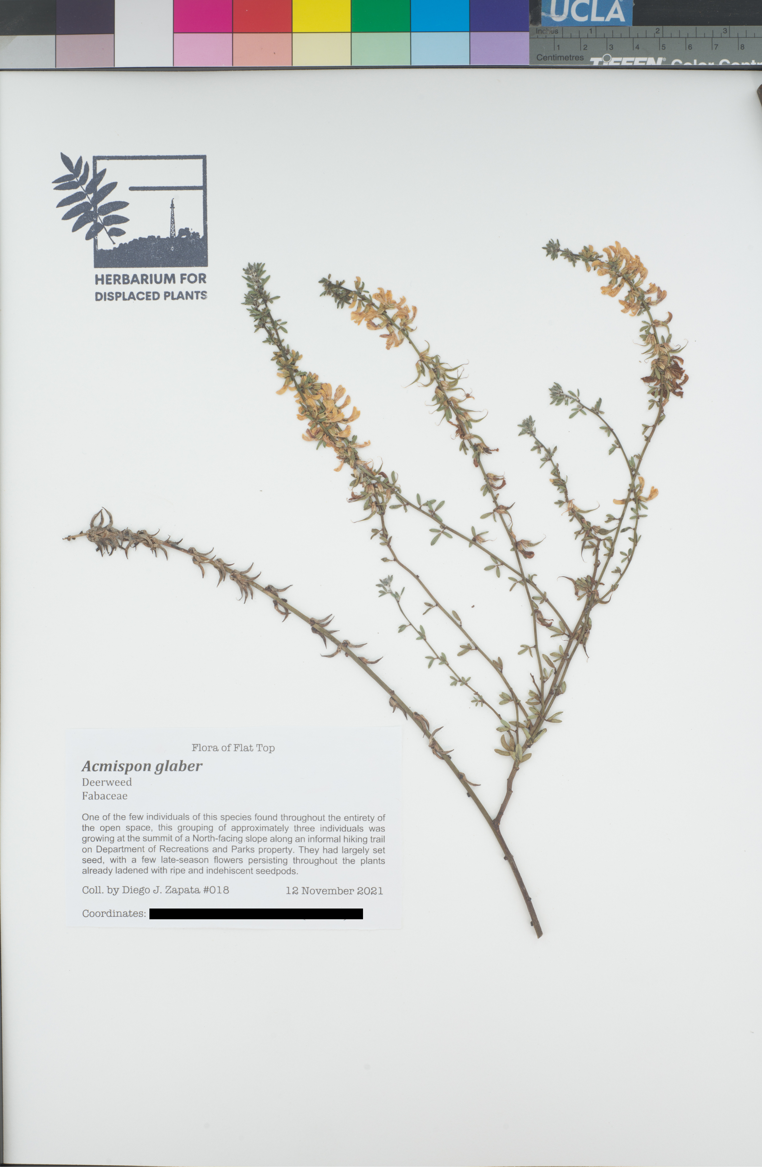 HDP_018_Aglab_public.png