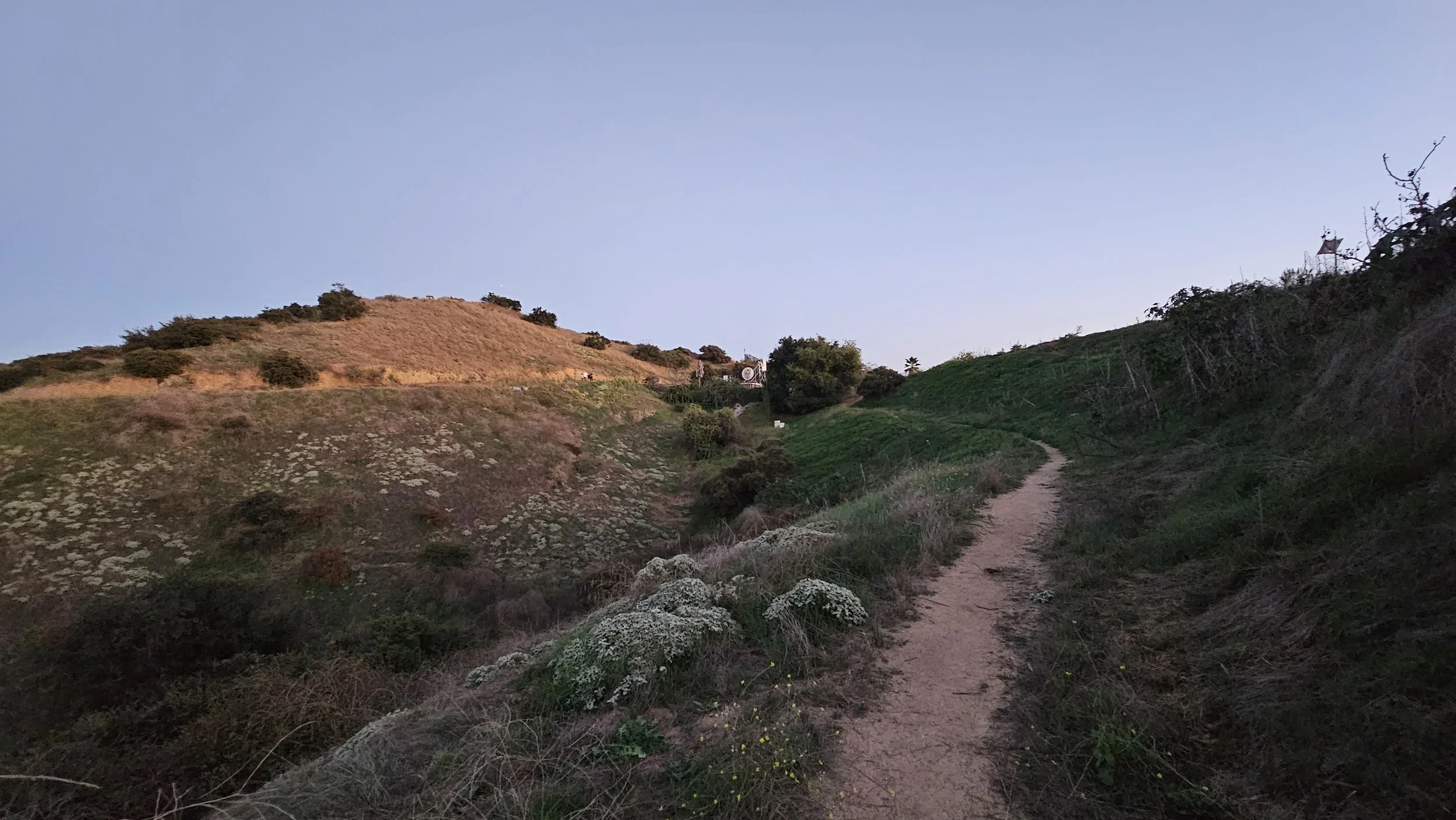 Fiji Hill at Occidental College