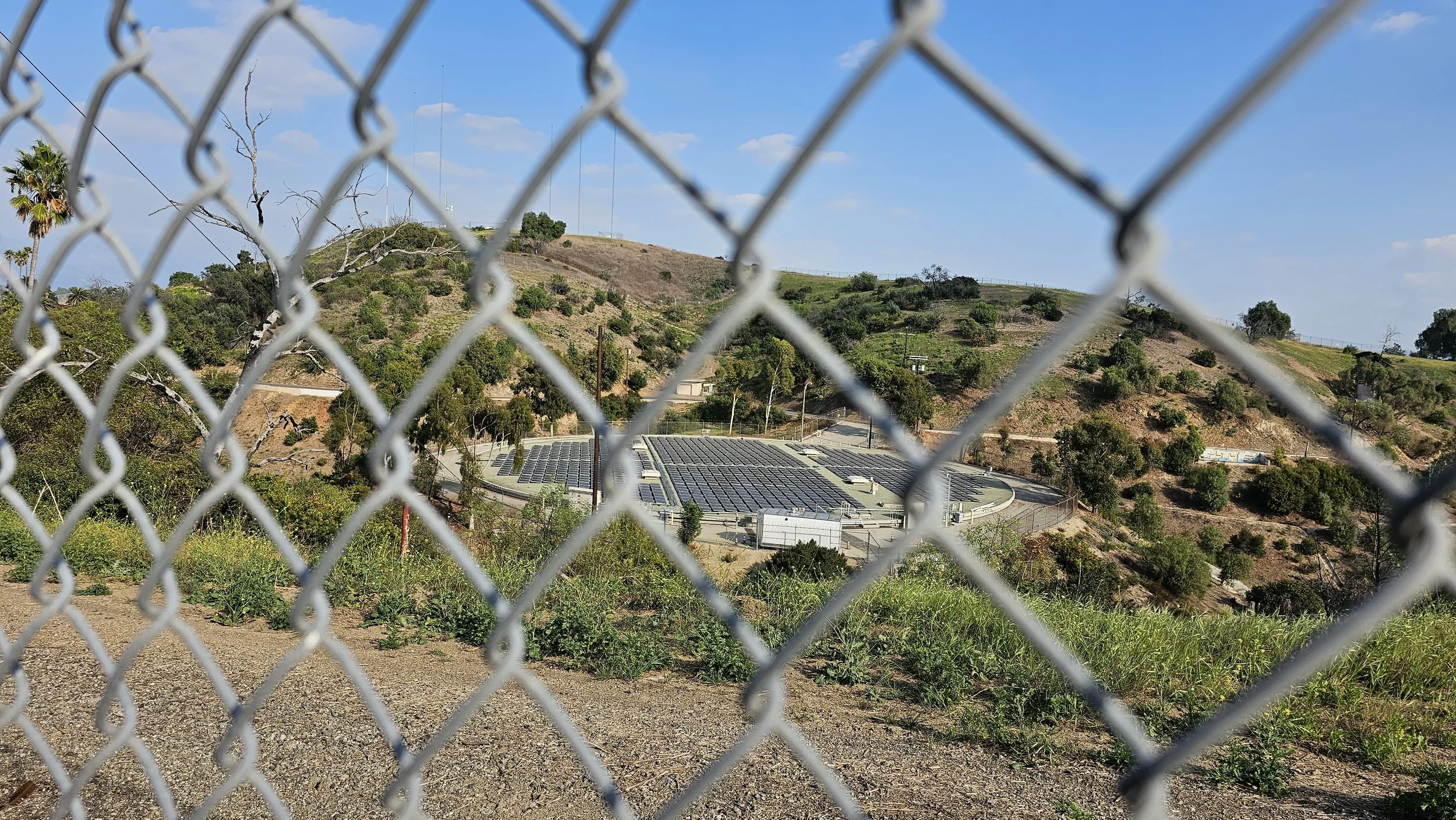 Ascot Hills