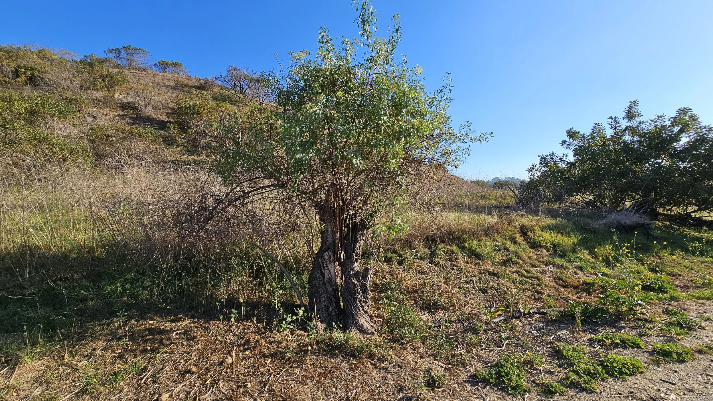HDP_087-2.jpg