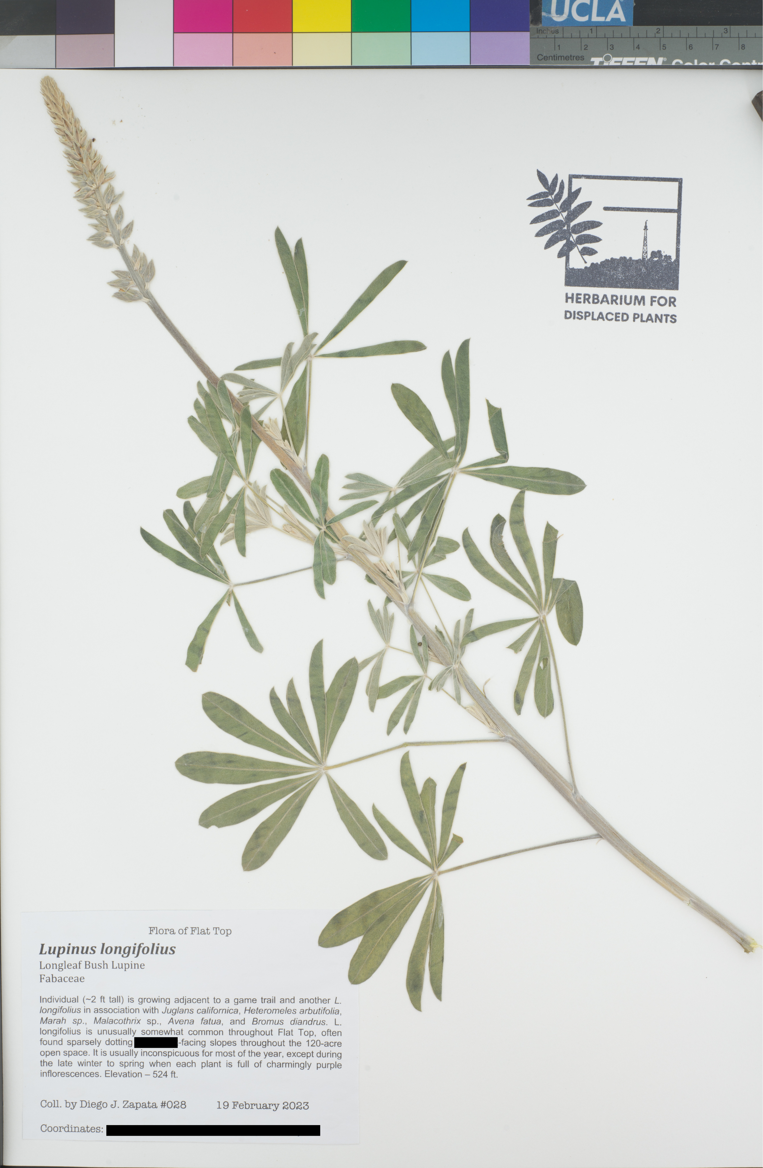 HDP_028_Llon_public.png