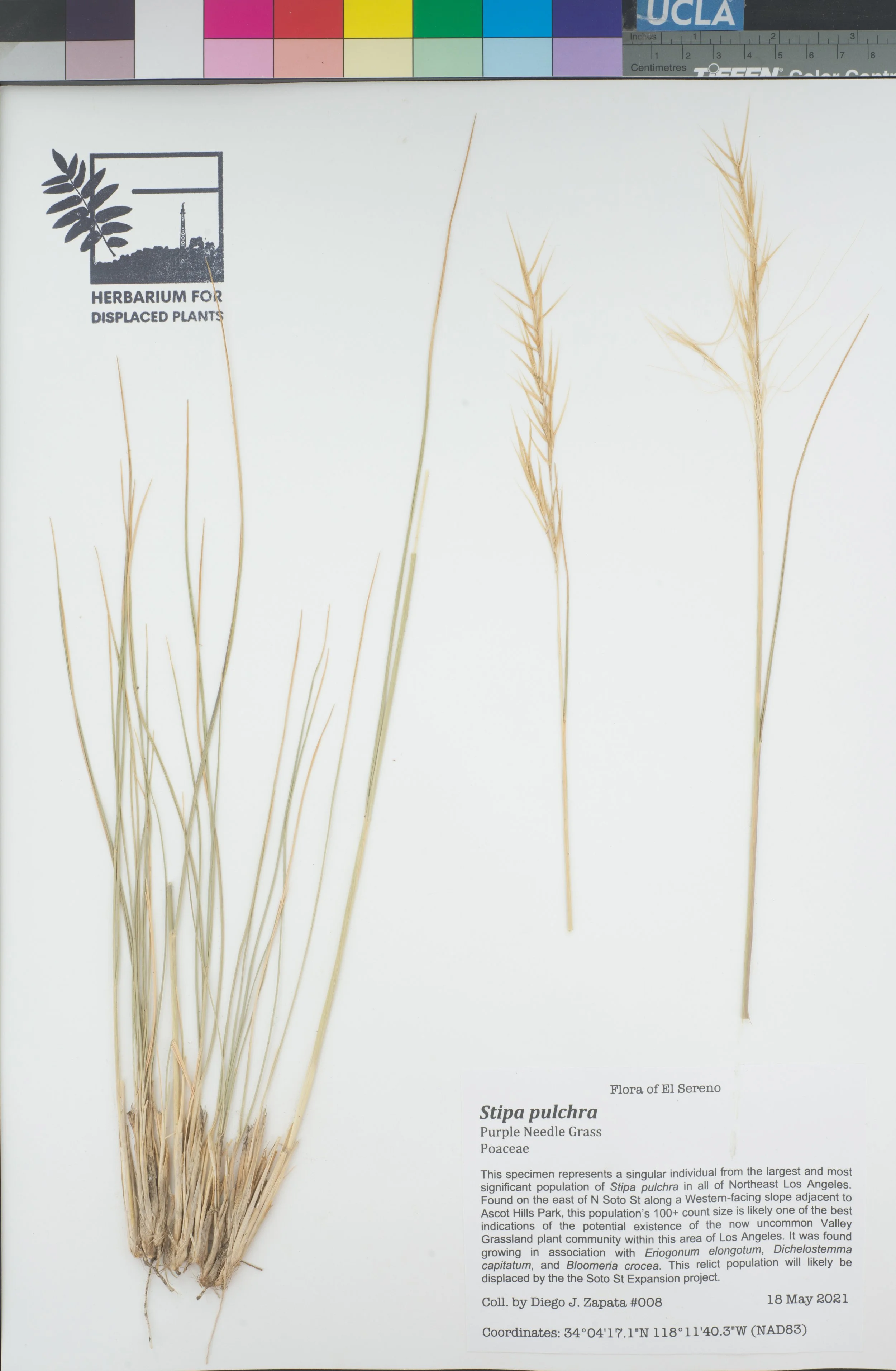 HDP_008_Spul.jpg