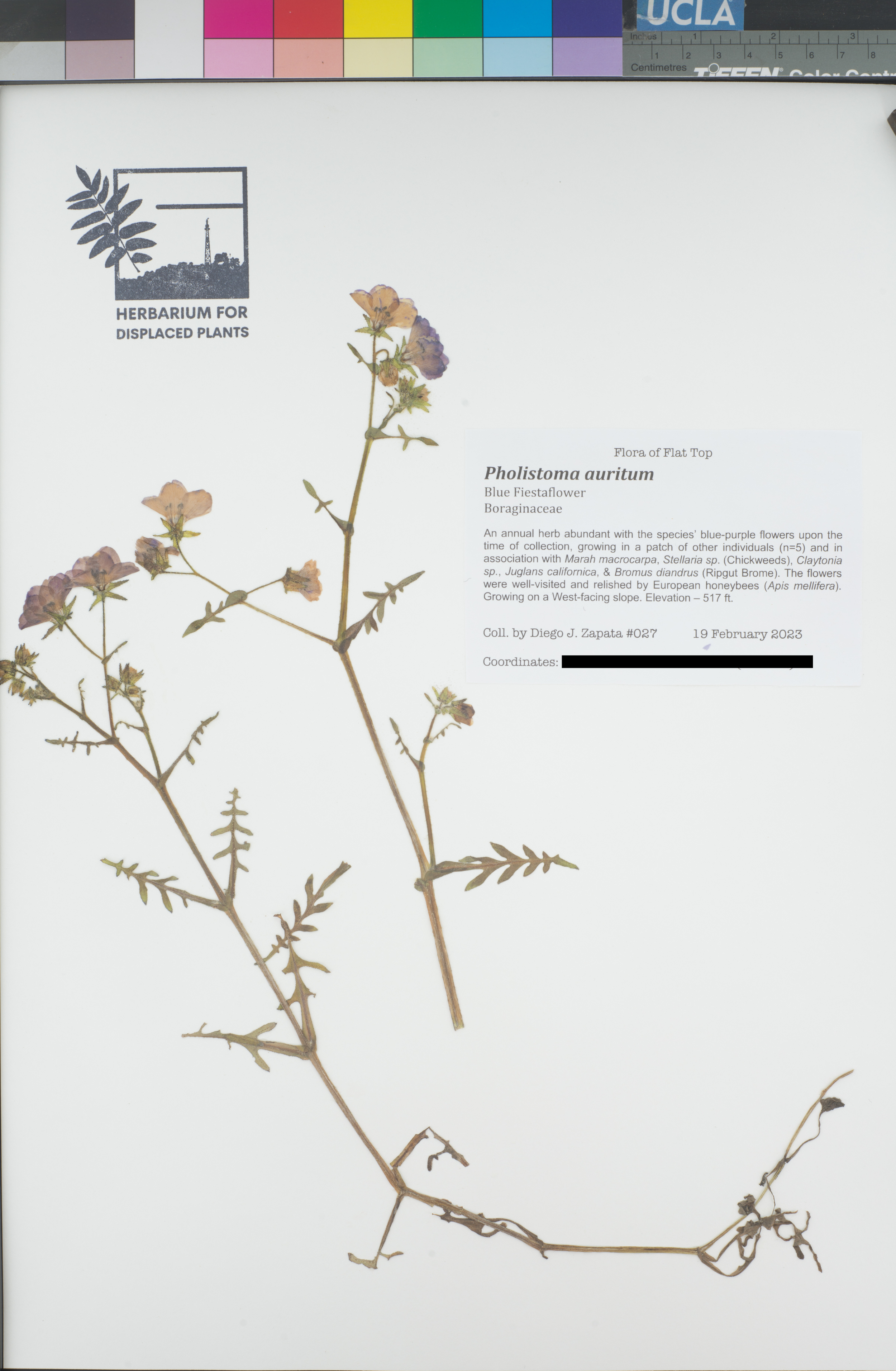 HDP_027_Paur_public.png