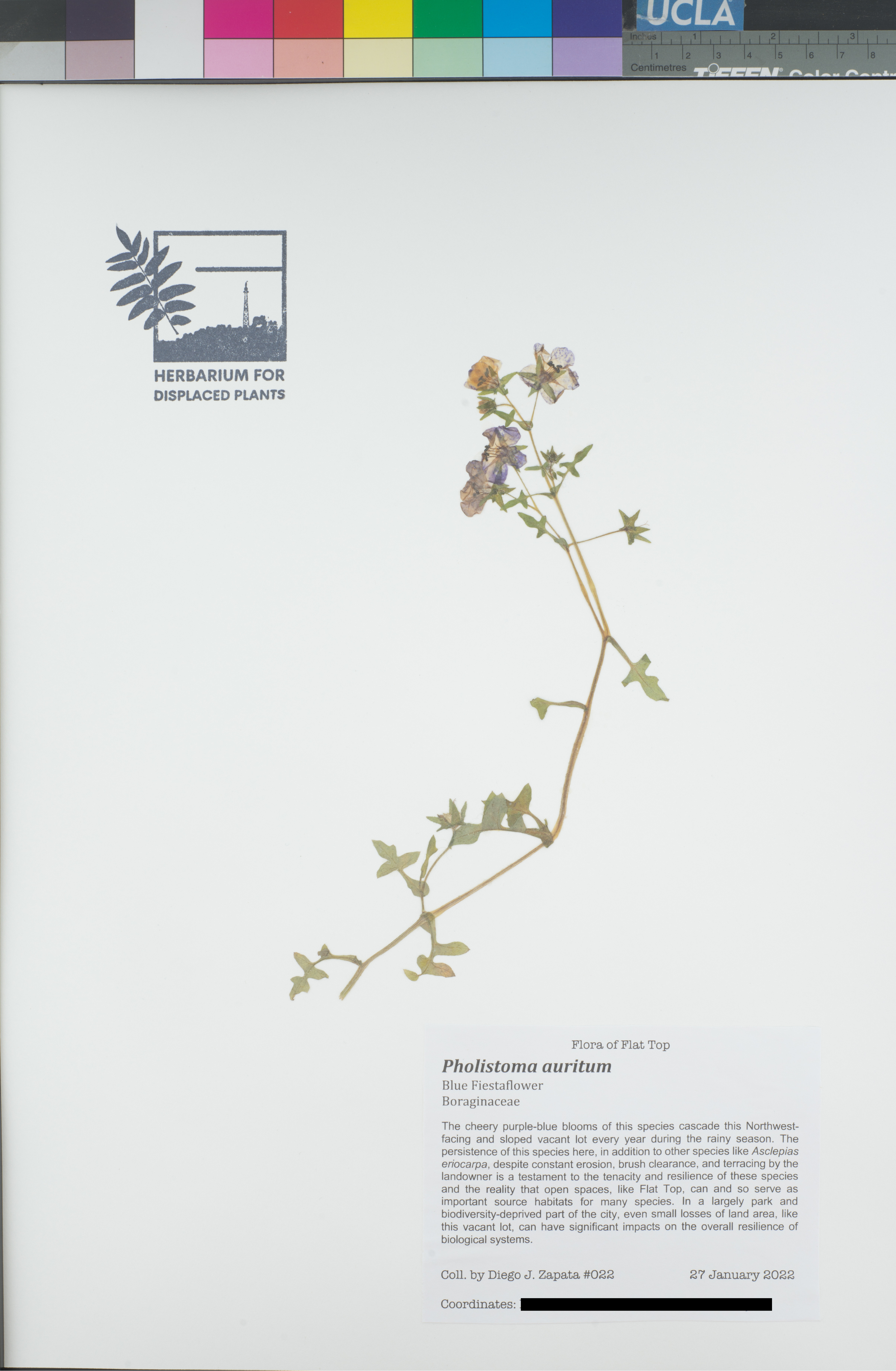 HDP_022_Paur_public.png
