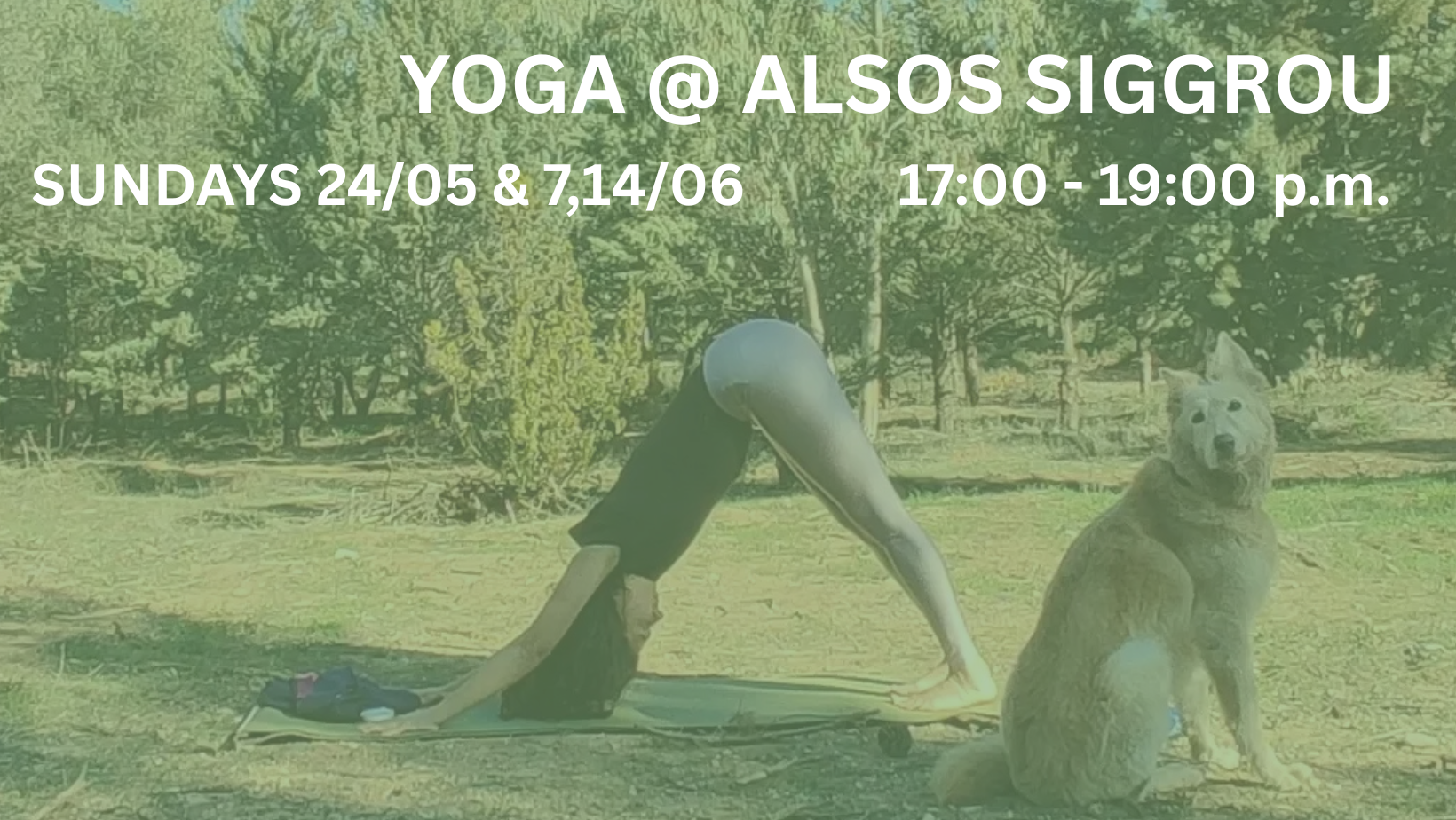 YOGA @ ALSOS SIGGROU