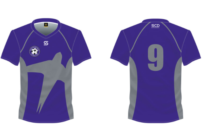Home & Away Kit – Seniors and U12+