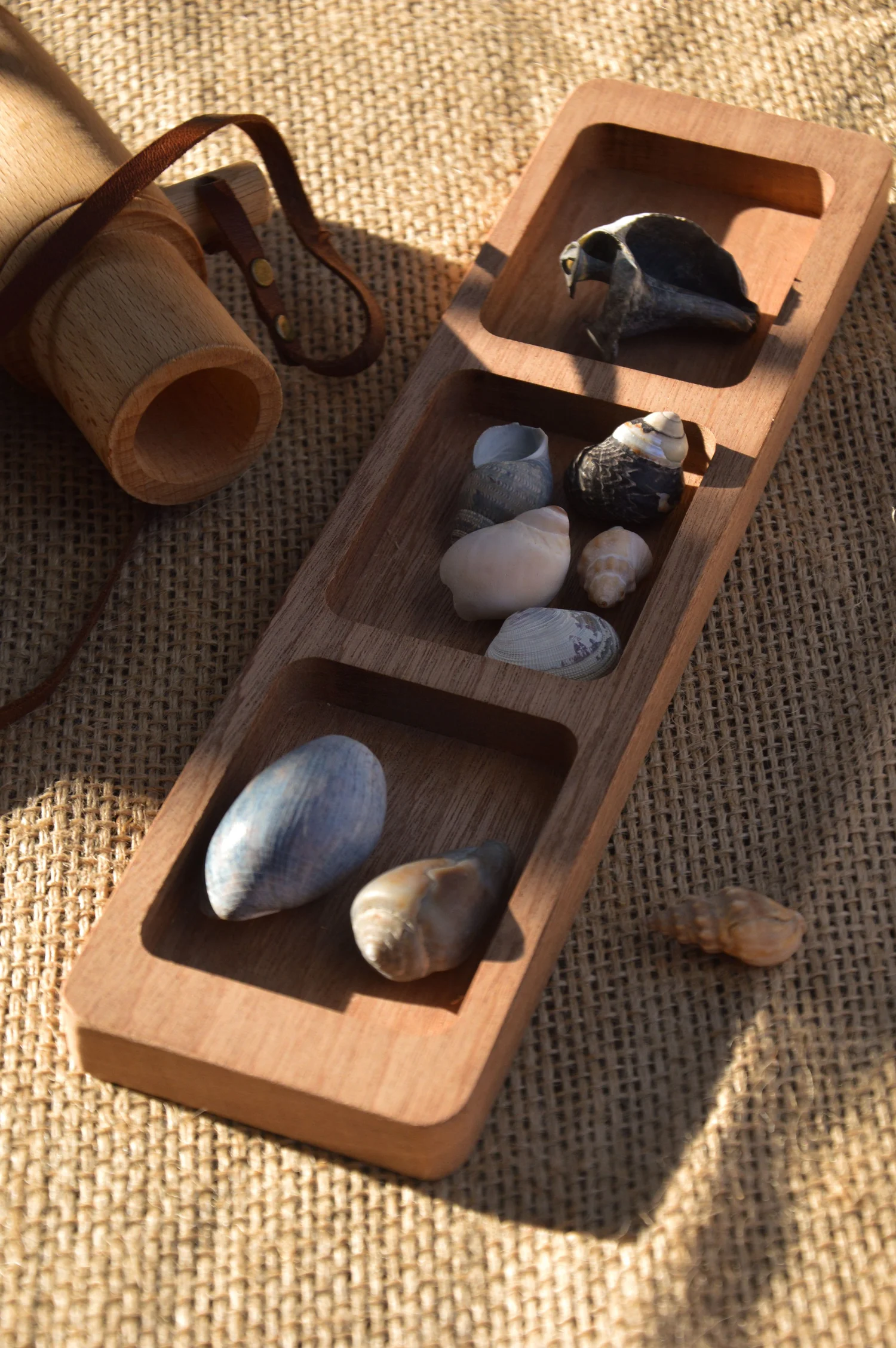 Tens Frame Sorting Tray | Our Earth Life | Nature Supplies for Children