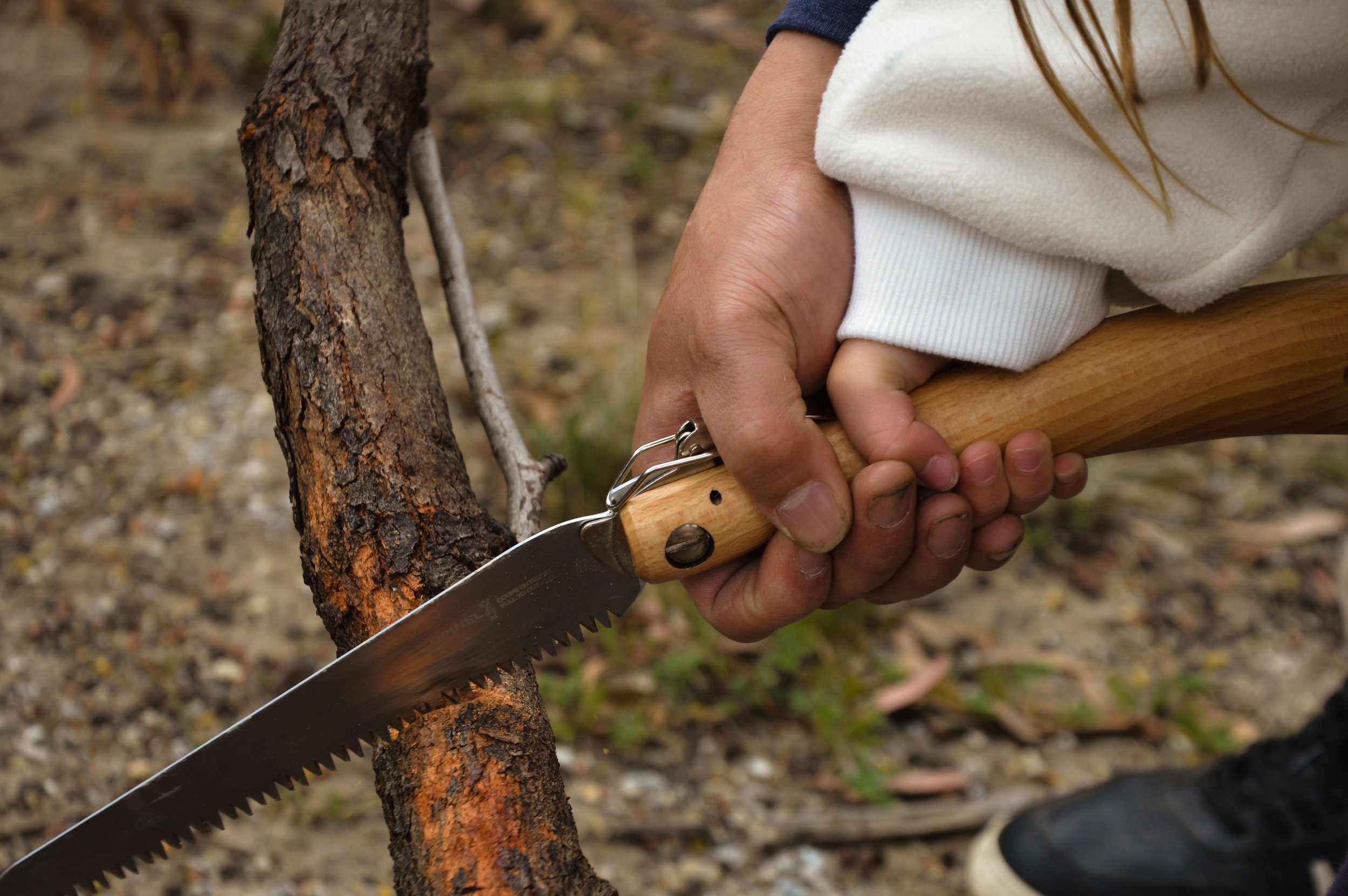 folding saw.jpg