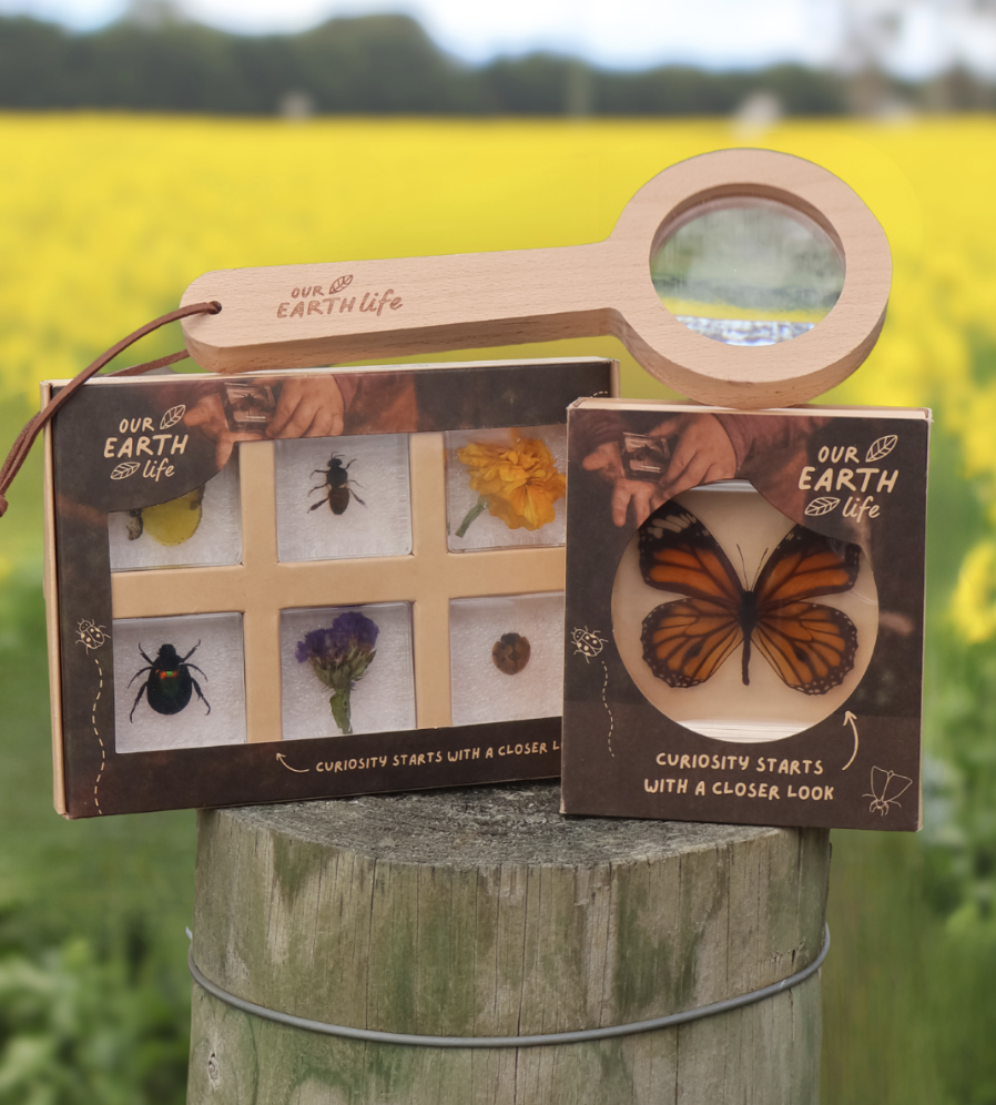 Spring Bundle