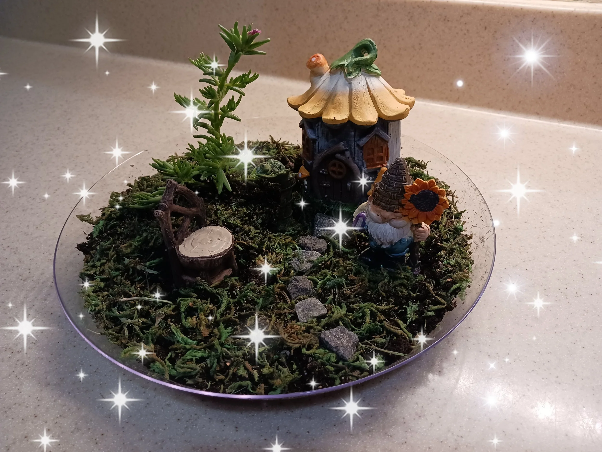 Make Your Own Fairy or Gnome Garden: Saturday July 11, 2026 10am to 2pm