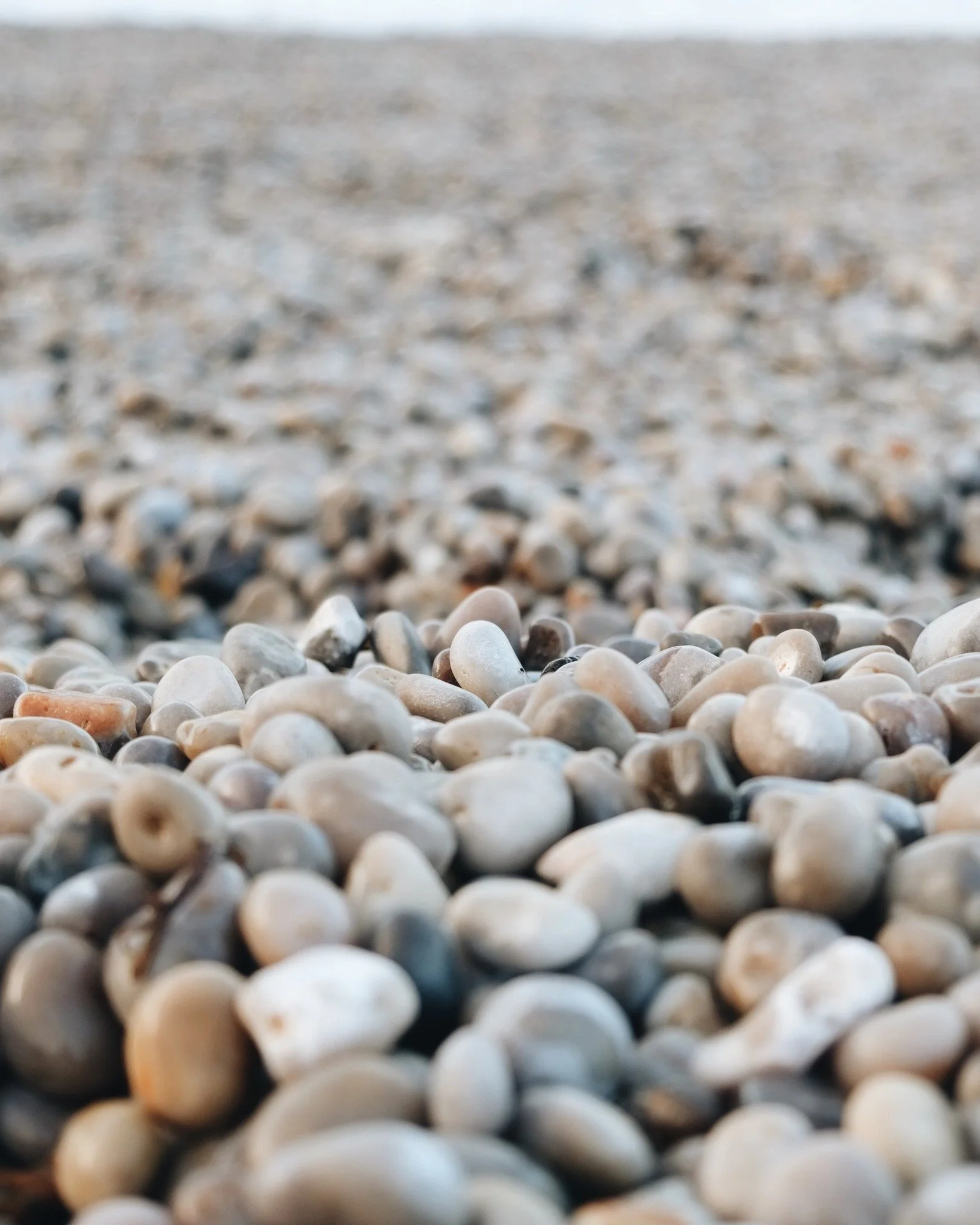 Pr&eacute;servons le littoral 🪨

Les galets jouent un r&ocirc;le essentiel dans la protection de nos c&ocirc;tes : ils limitent l&rsquo;&eacute;rosion et participent &agrave; l&rsquo;&eacute;quilibre naturel du littoral !

⟡ Ils absorbent la force d