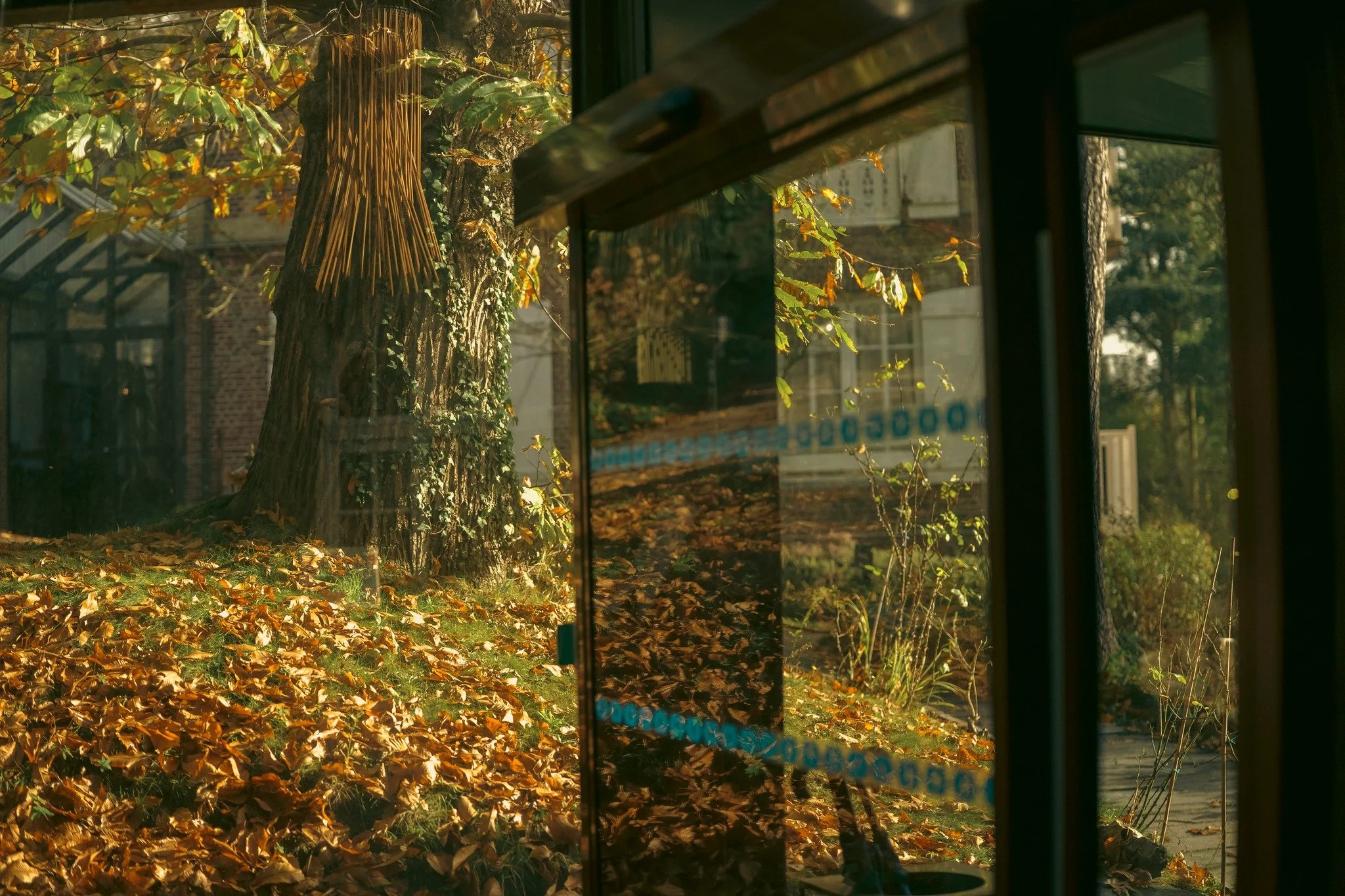 Bienvenue &agrave; la maison 🍂

La r&eacute;ception, baign&eacute;e d&rsquo;une douce lumi&egrave;re 🤍

📷  credits @vincentrustuelartiste 

.

#r&eacute;ceptionhotel #hoteldecharme #maisondecaractère #hoteldesign #hotellife #hotelnormandy #etreta