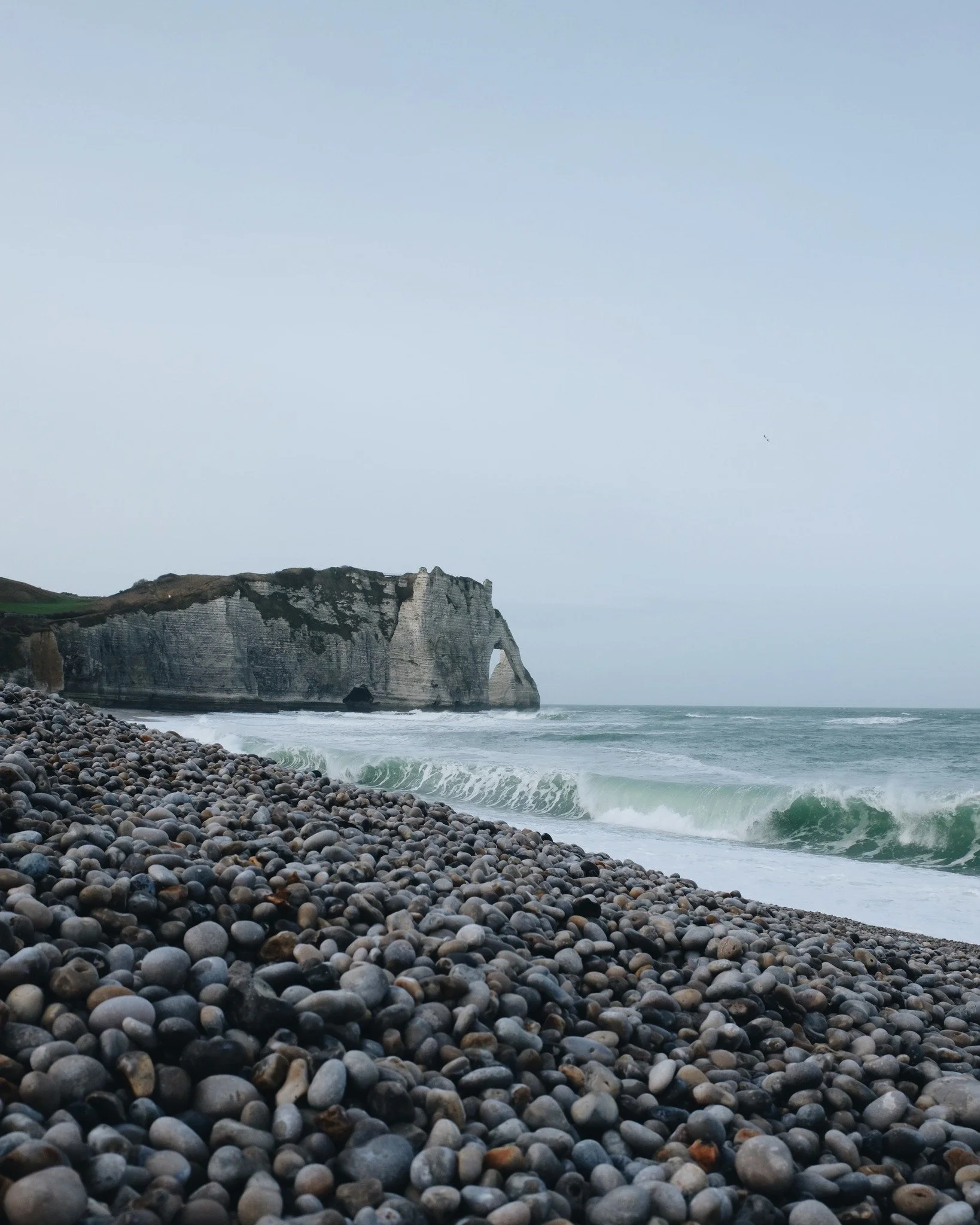 Journ&eacute;e mondiale de la vie sauvage 🌍♡🌊

Ici, &agrave; &Eacute;tretat, nous avons la chance unique d&rsquo;&ecirc;tre entour&eacute;s d&rsquo;un d&eacute;cor naturel magnifique, qu'il est important de prot&eacute;ger. 

🦅🌾 Pour contribuer &