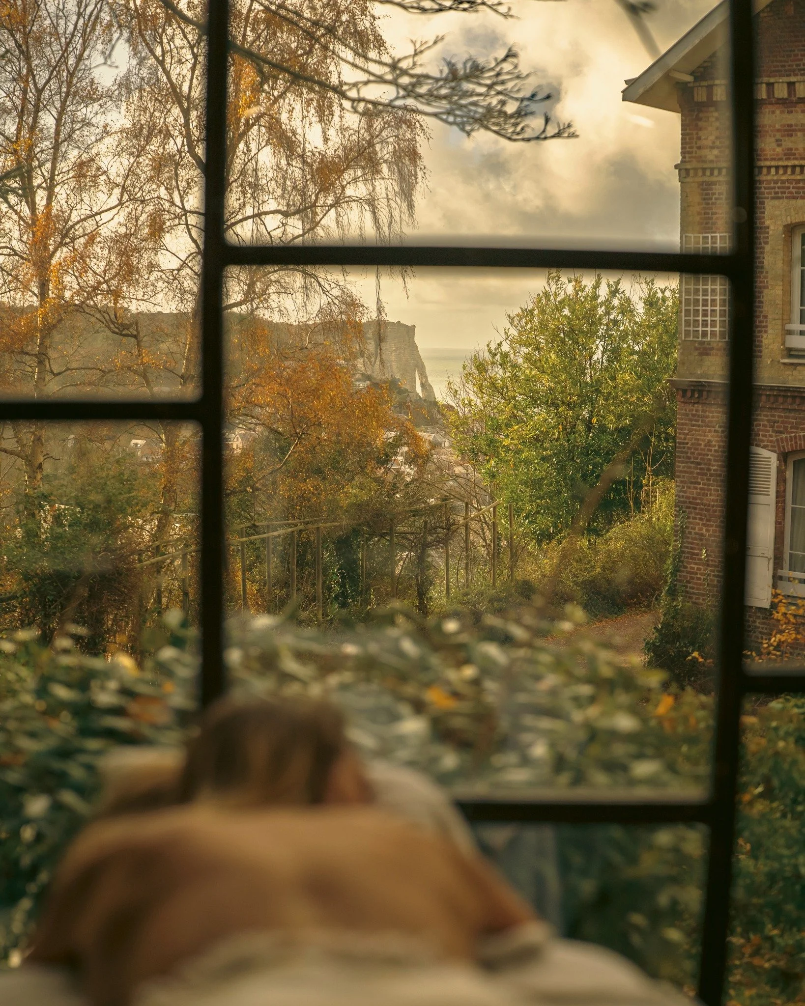 Un massage avec vue... sur les falaises d'Etretat 🧖🏻&zwj;♀️✨🌿 

Notre cabine solo vous emm&egrave;ne dans un petit coin de paradis, au milieu de notre jardin 𓂃 ོ☼

Massages, soins du visage, gommages avec les produits naturels de @greenspa.france