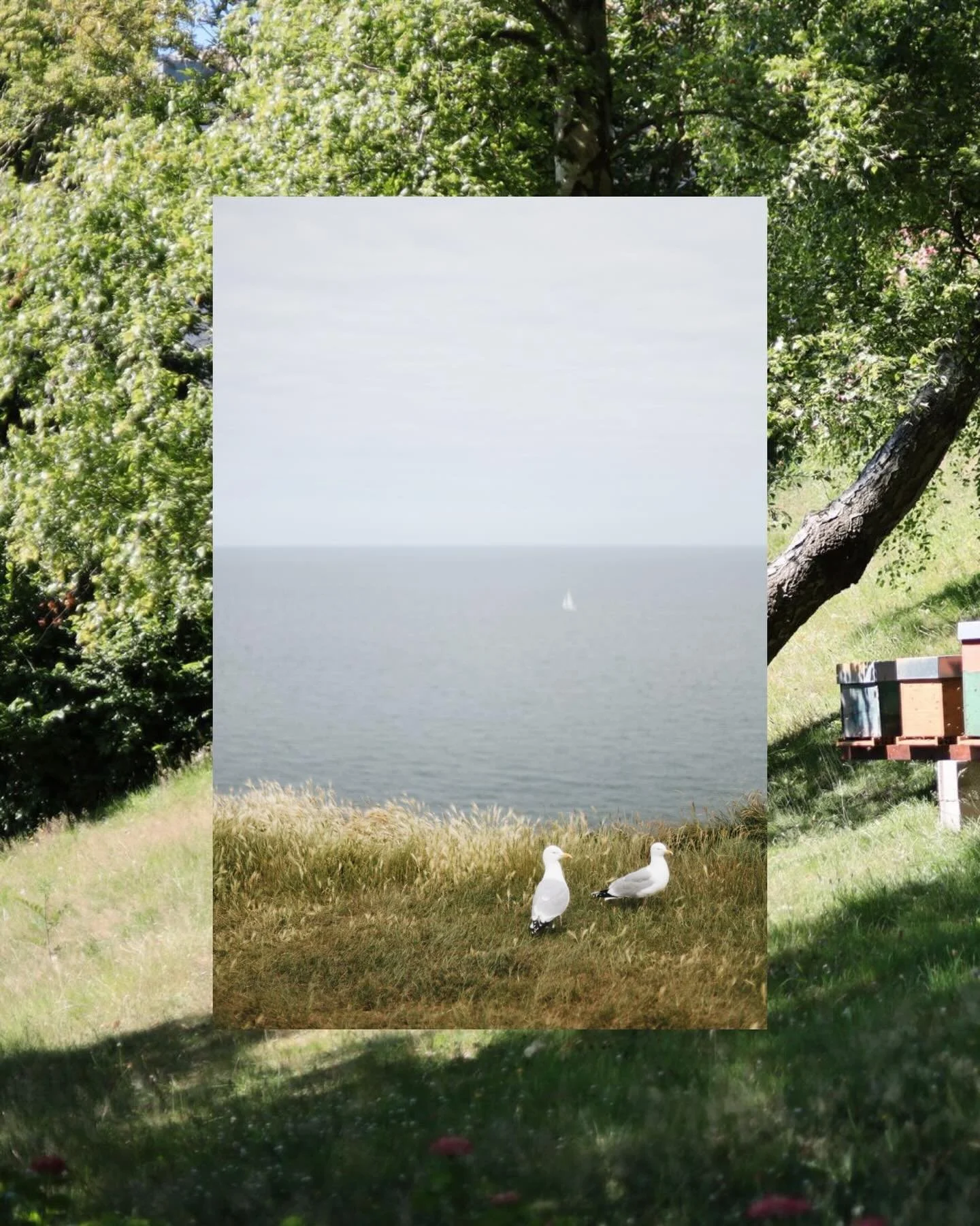 Journ&eacute;e de la Terre 🌍
Aujourd&rsquo;hui, on c&eacute;l&egrave;bre la Terre et tout ce qu&rsquo;elle nous offre au quotidien 🌿

&Agrave; notre &eacute;chelle, nous essayons de faire mieux chaque jour pour la respecter et la pr&eacute;server ?