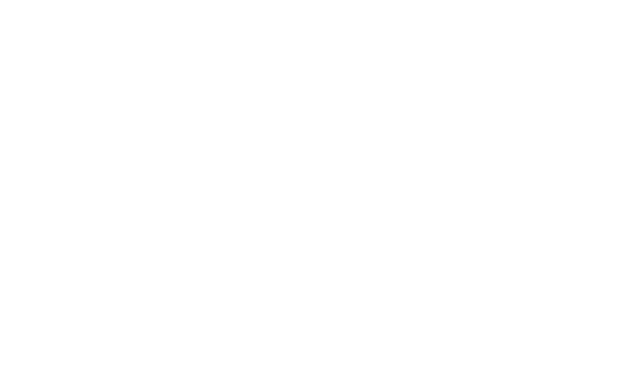 Vivid Therapies