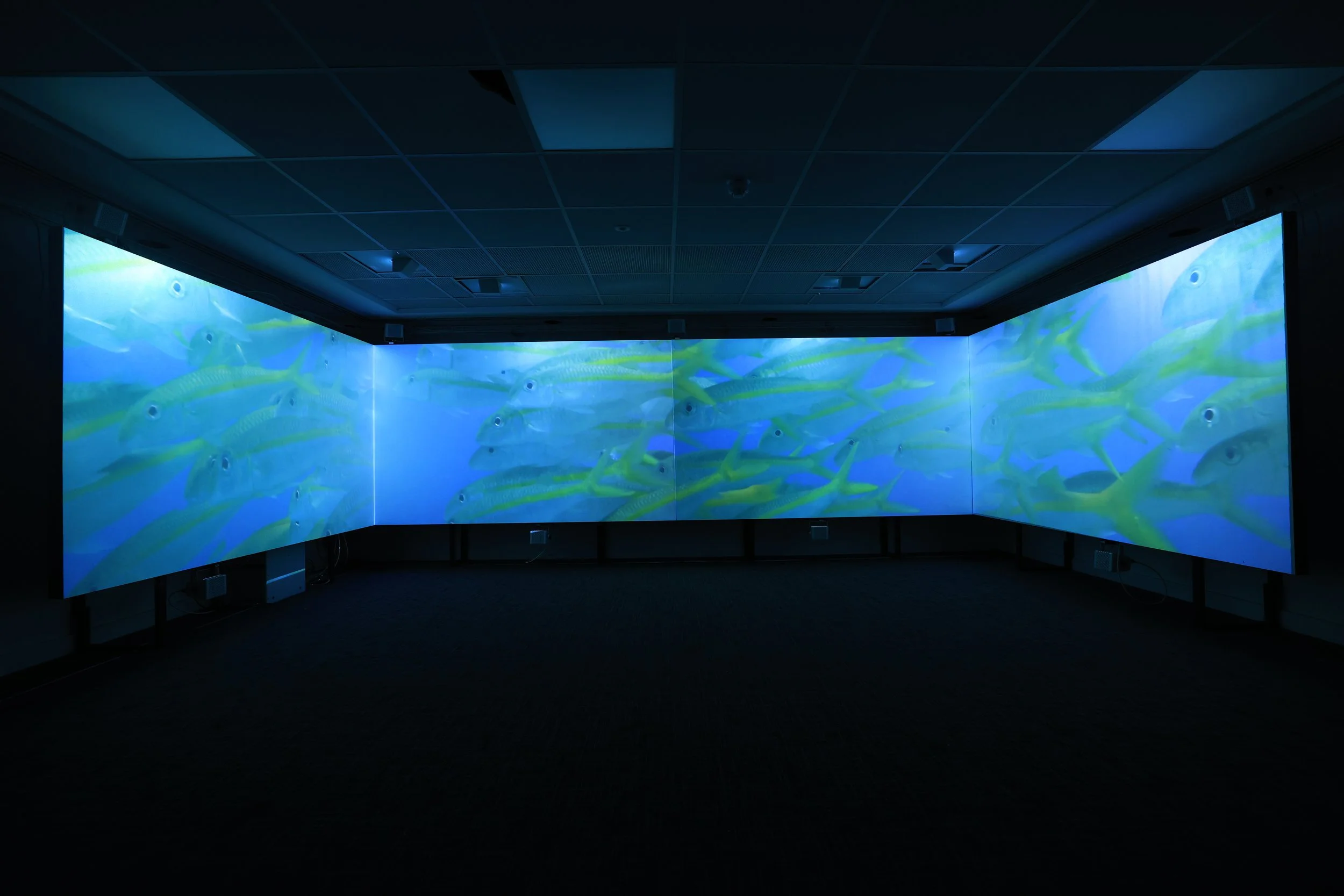 BMVFS Install Photo Fish.JPG