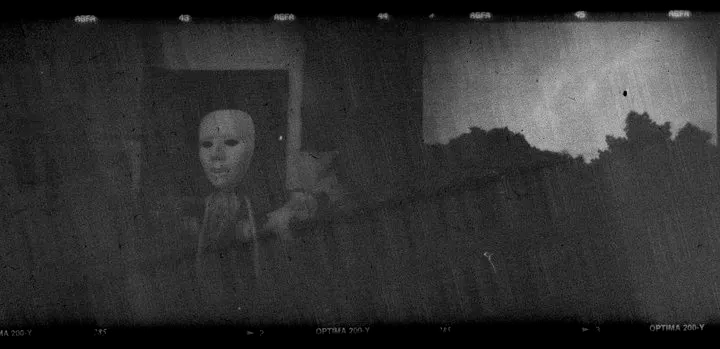 King in Yellow - Holga photography