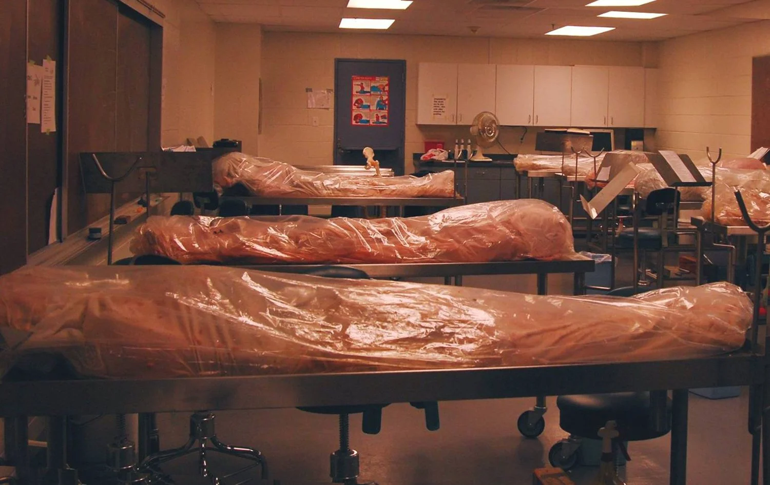 Speaking with the Dead: Life and Learning in a Cadaver Lab