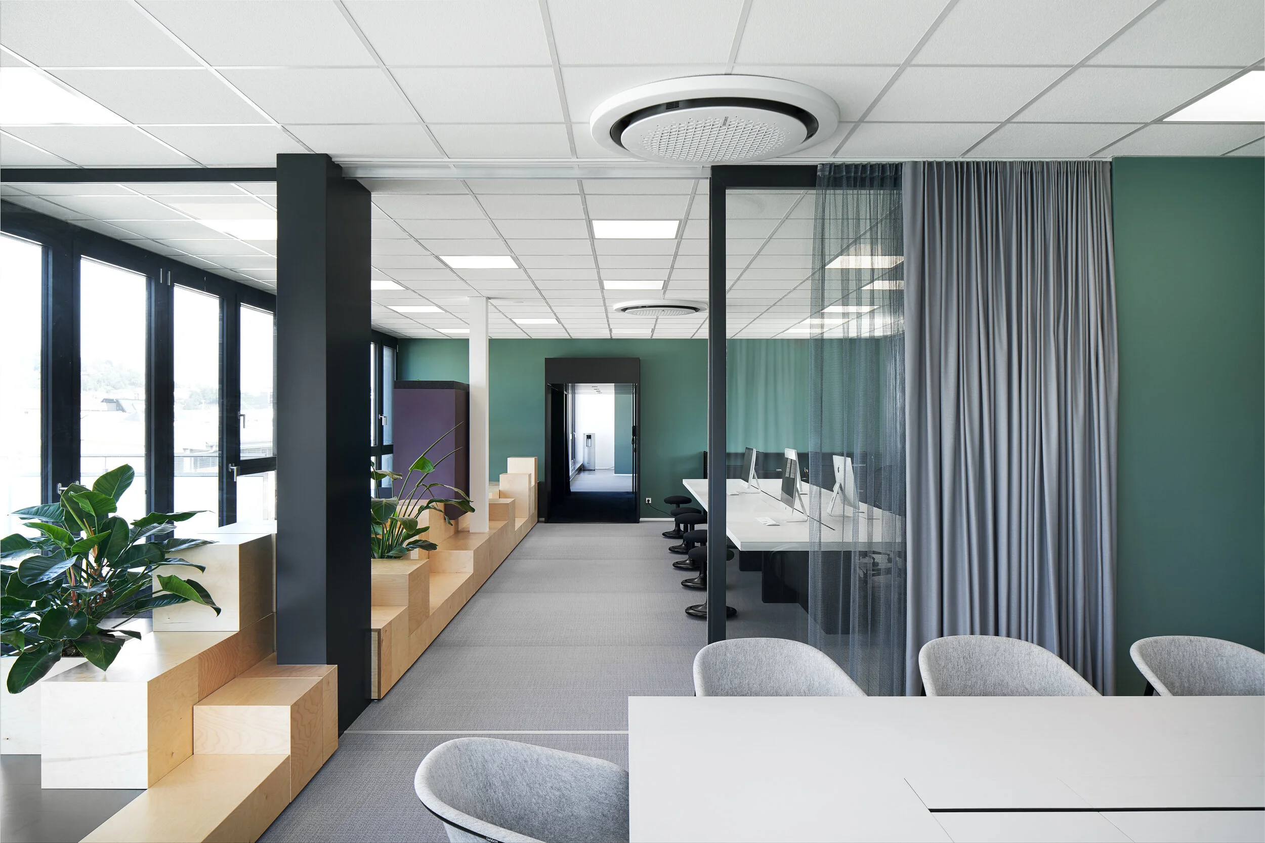 Studio Komo - Loup 8.jpg