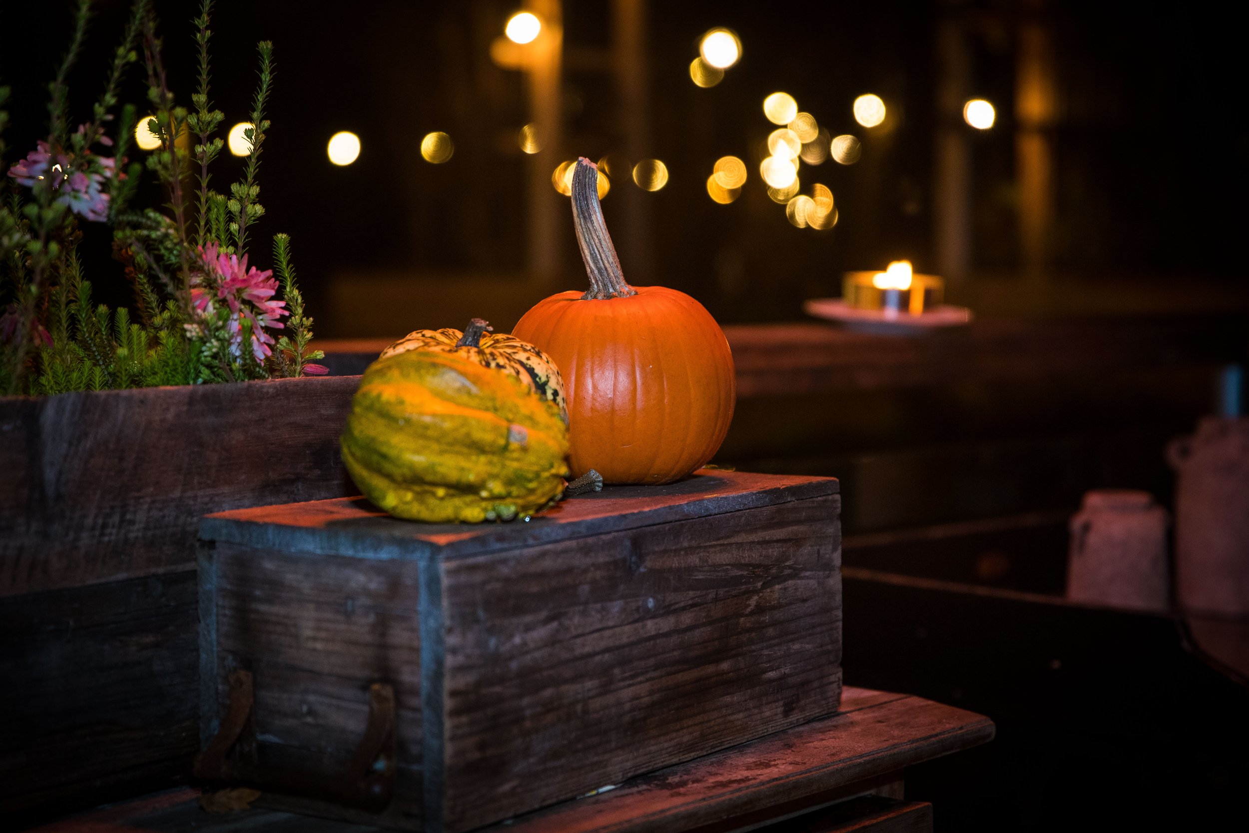 NiclasKarlsonPhoto___A24I8538 _.jpg