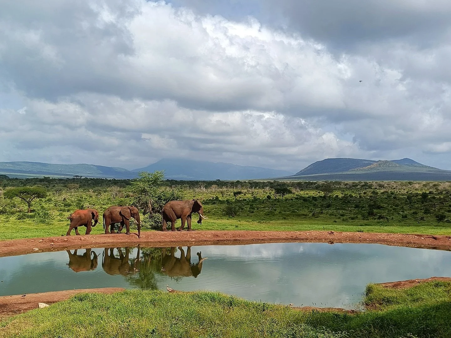 Kenya: Where Yoga Returns to the Earth