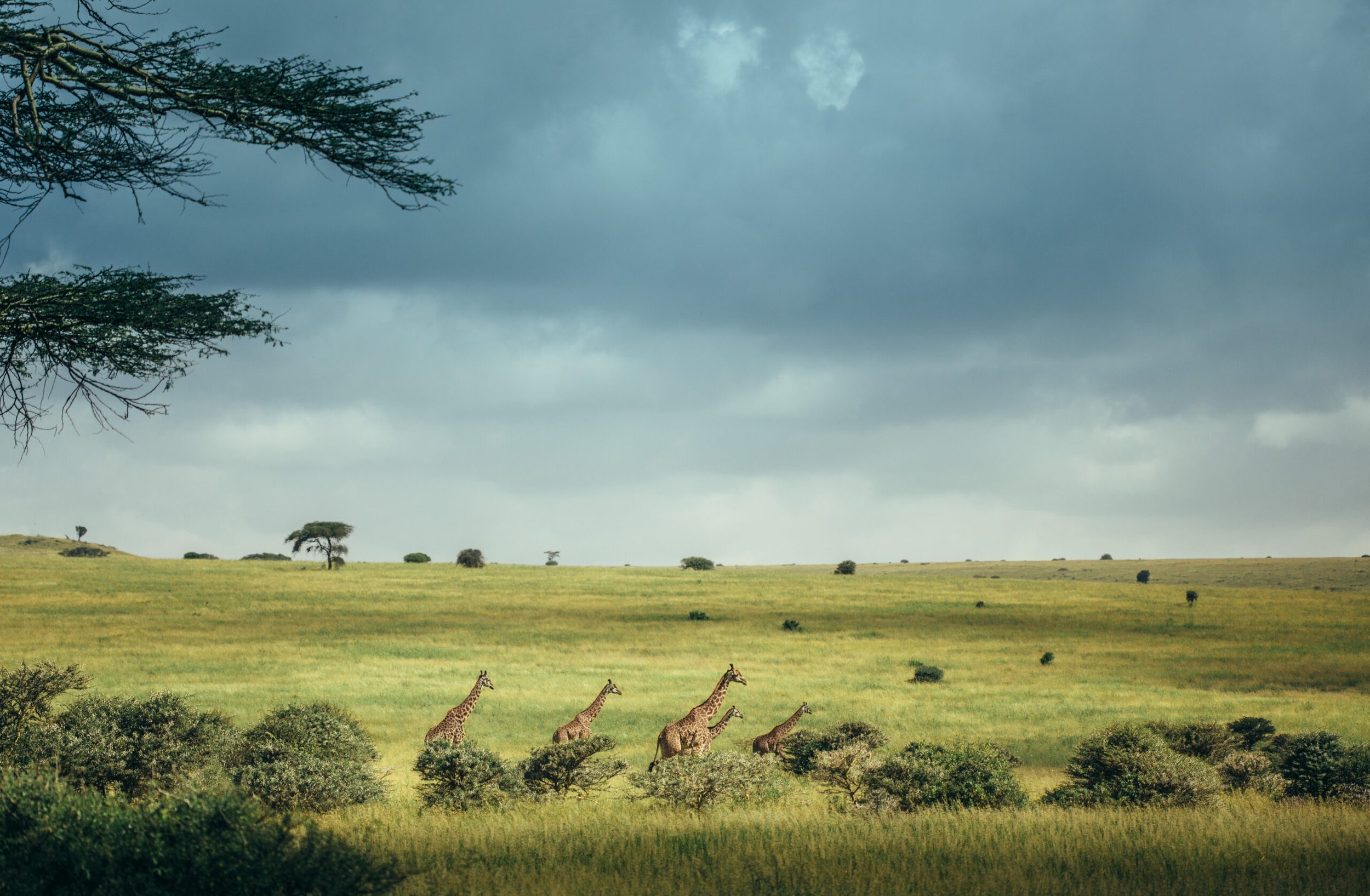 AdobeStock_107457196-scaled.jpeg